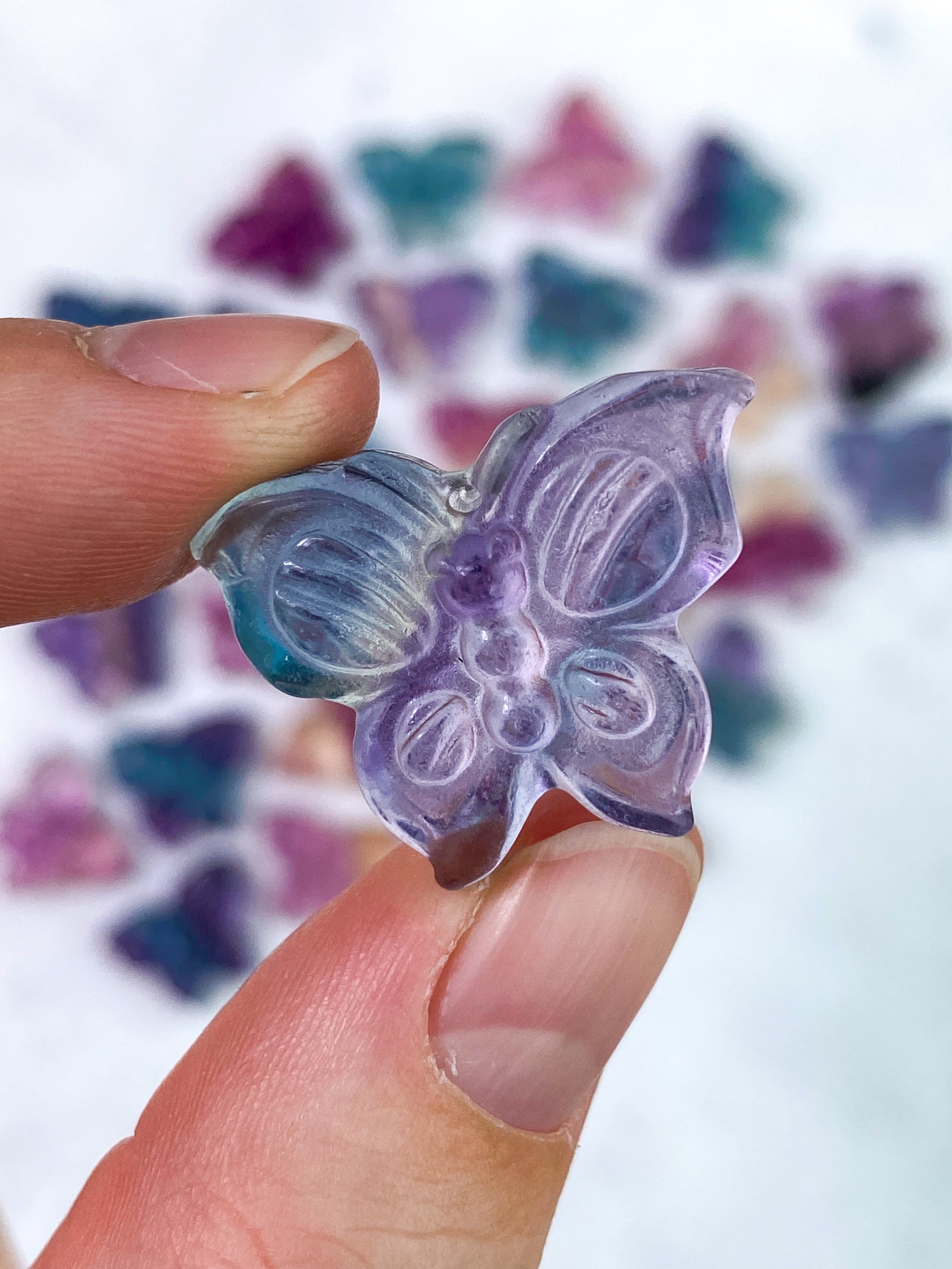 Regnbue Fluorit Sommerfugl