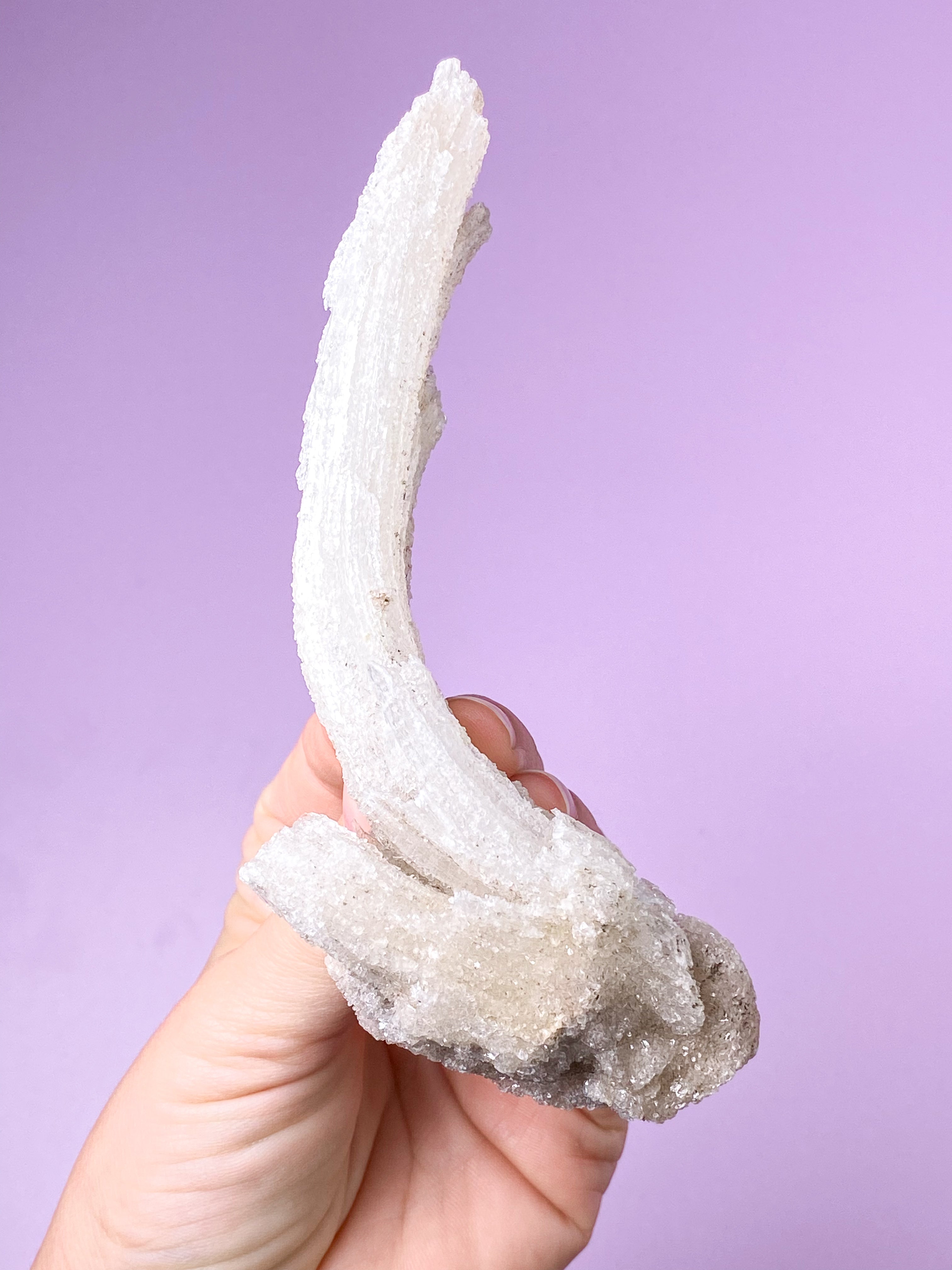 Vädurshornselenit (nr 1) Exklusiv kvalitet