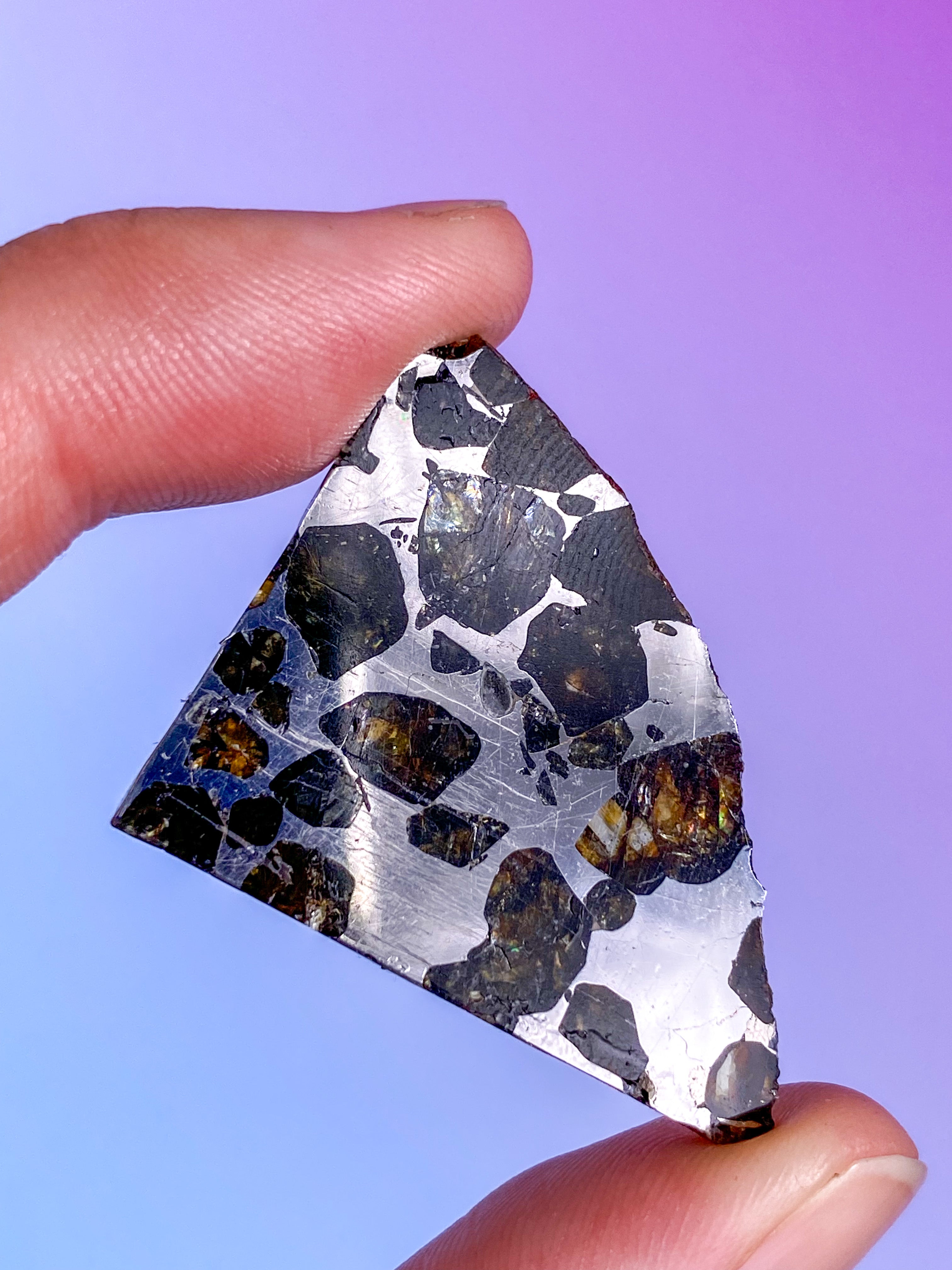 Seymchan Meteorit (Nr. 4)