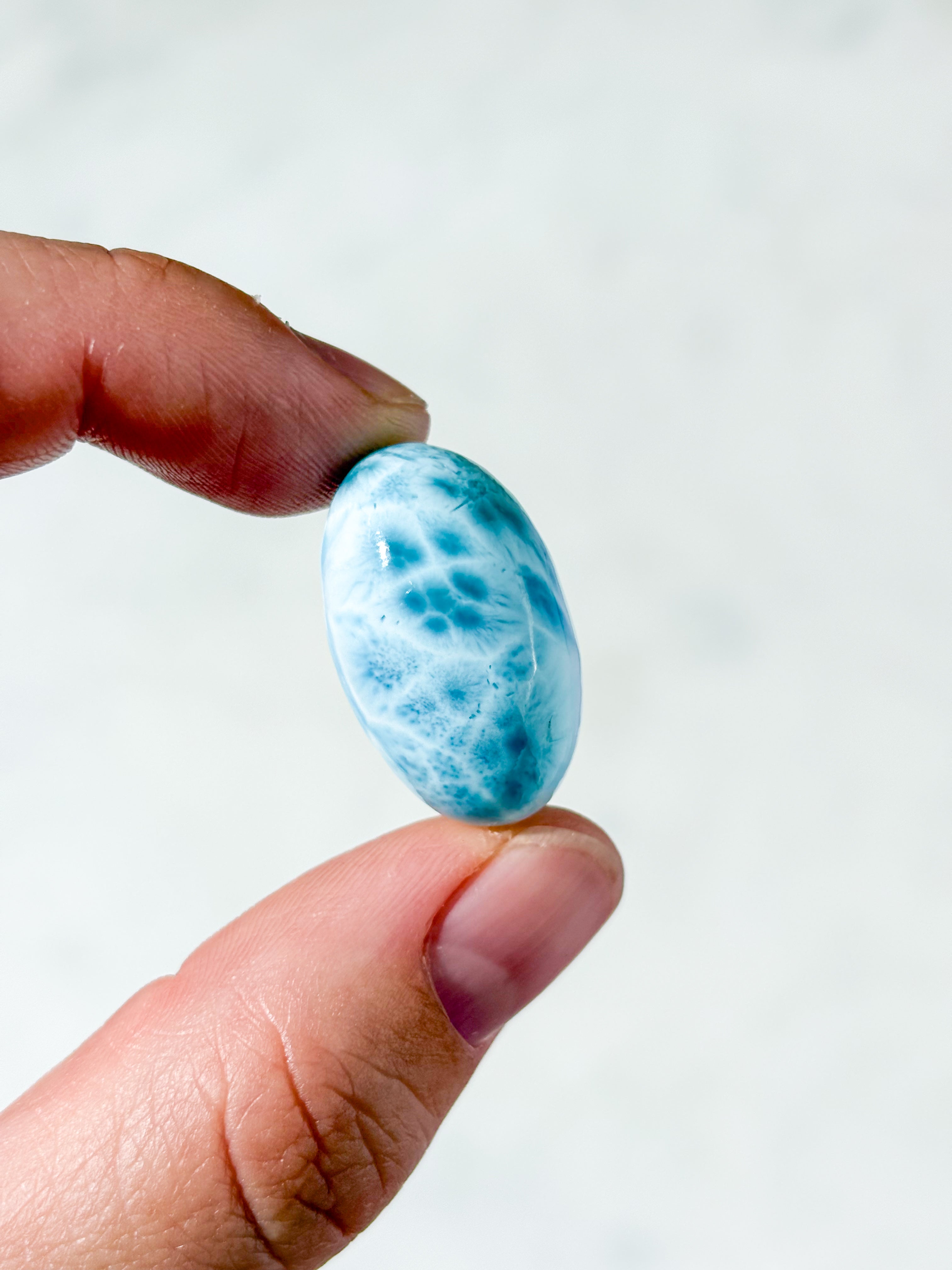 Larimar Poleret (Nr. 31) Eksklusiv Kvalitet