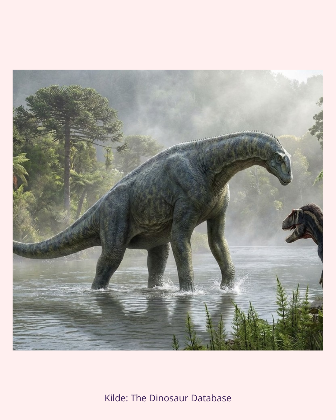 Atlasaurus Dinosaur Fossil Knogle Palmstone (Nr. 5)