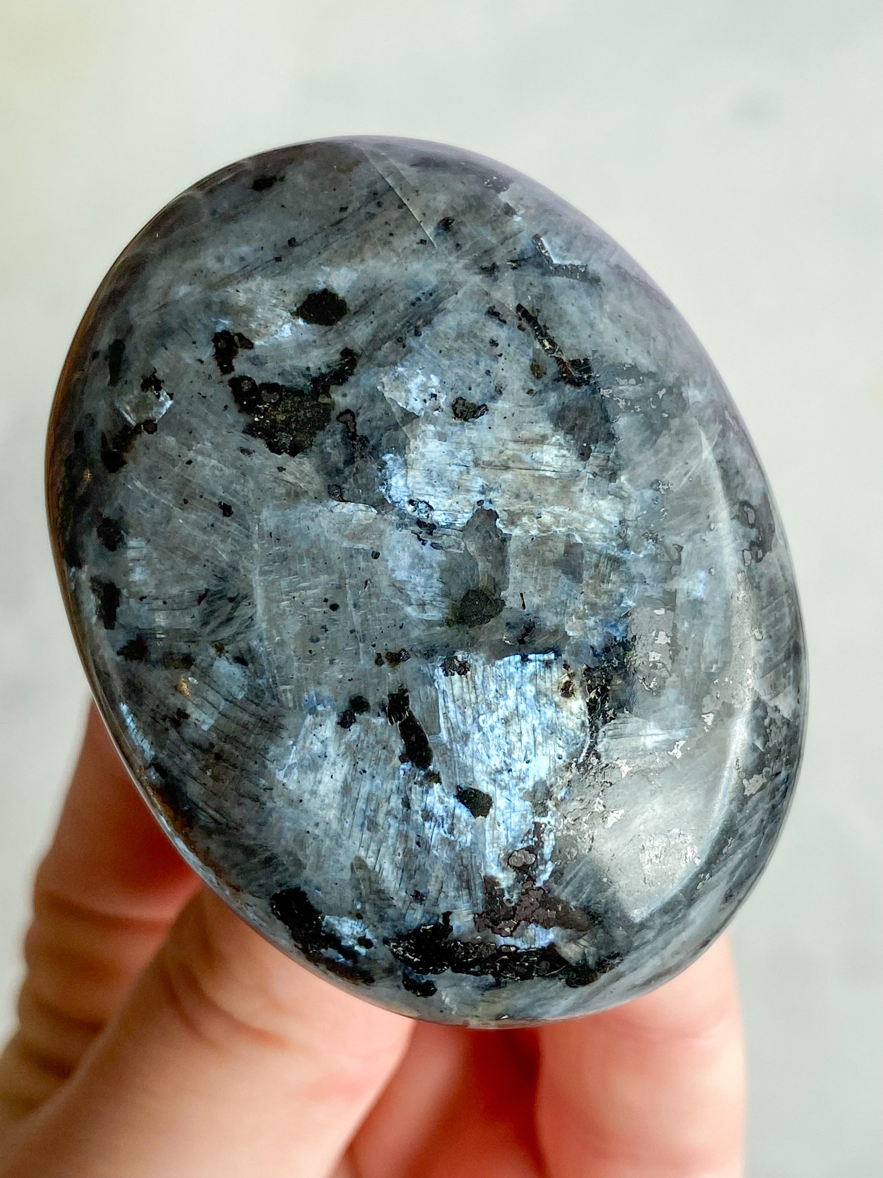 Larvikit Palmstone