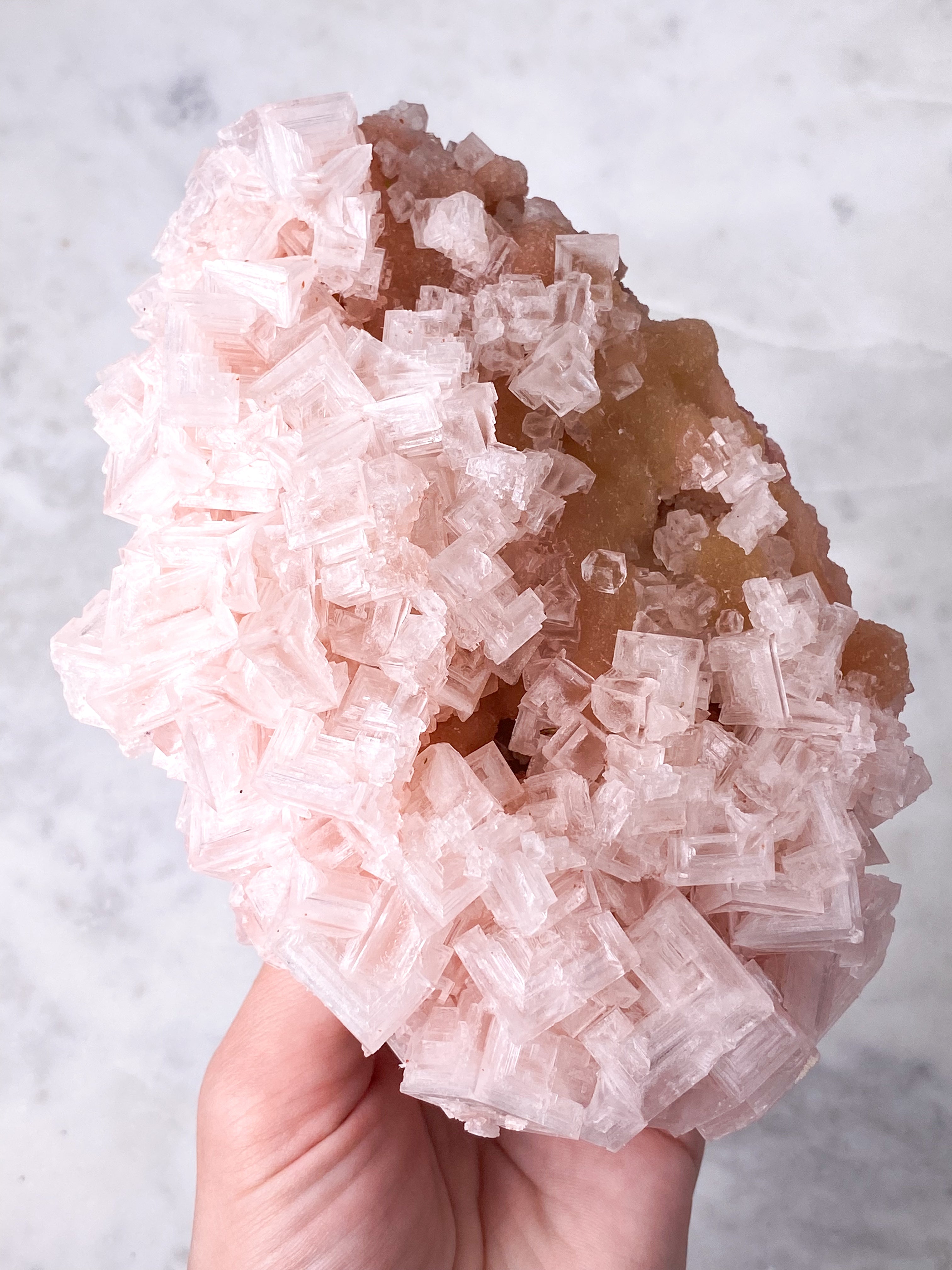 Kæmpe Pink Halit (Nr. 20) Eksklusiv Kvalitet