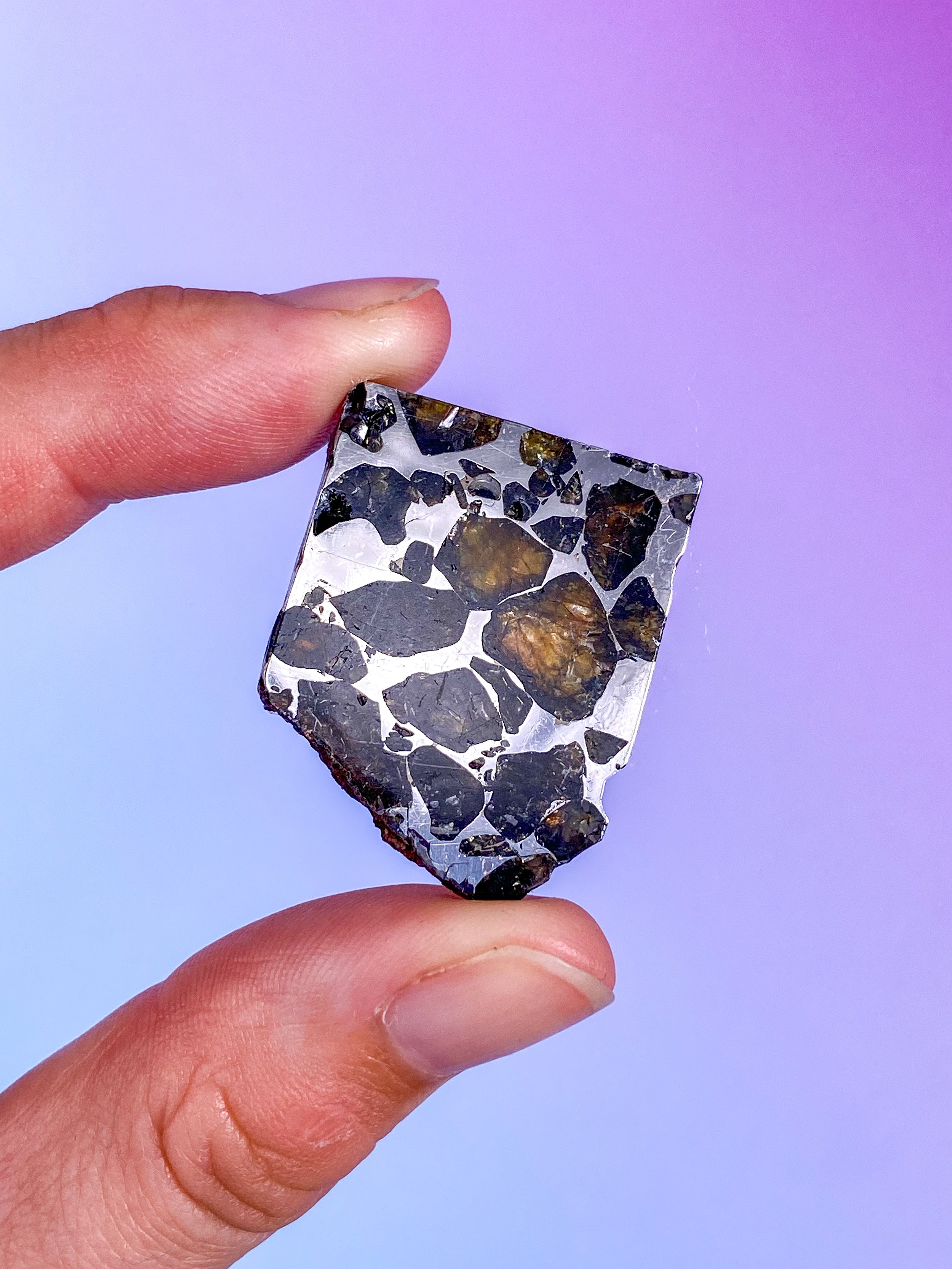 Seymchan Meteorit (Nr. 9)
