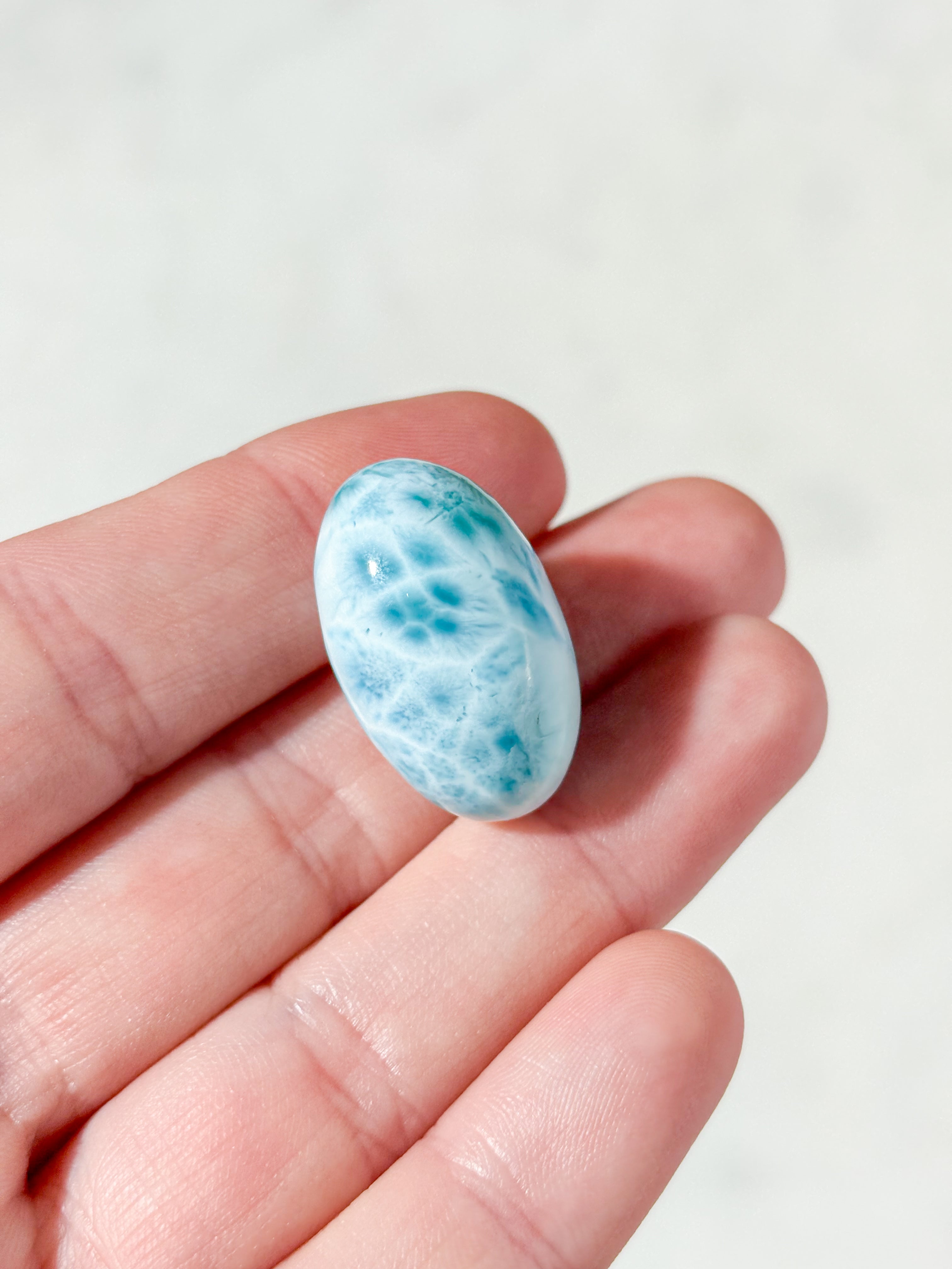 Larimar Poleret (Nr. 31) Eksklusiv Kvalitet