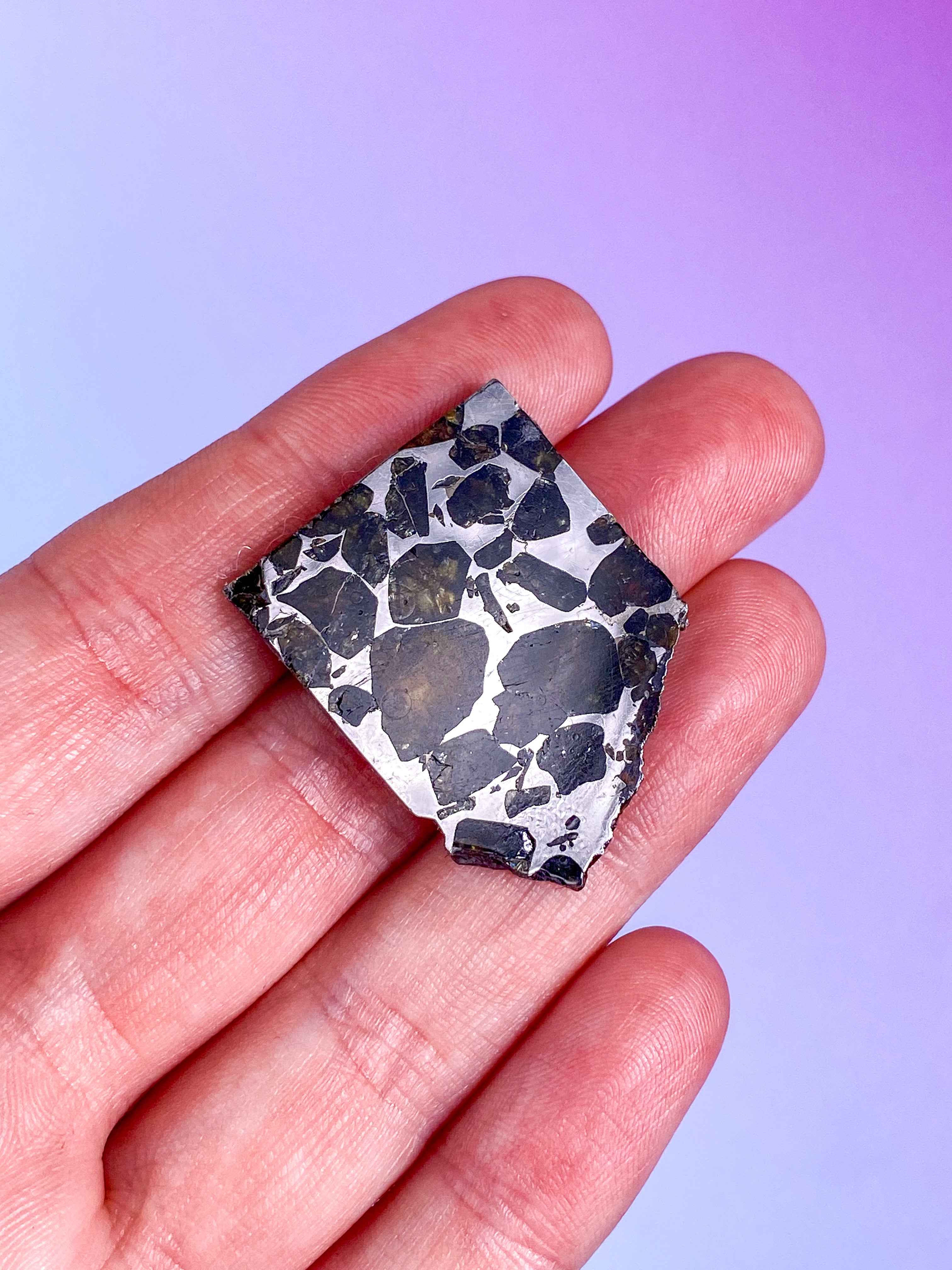 Seymchan Meteorit (Nr. 9)