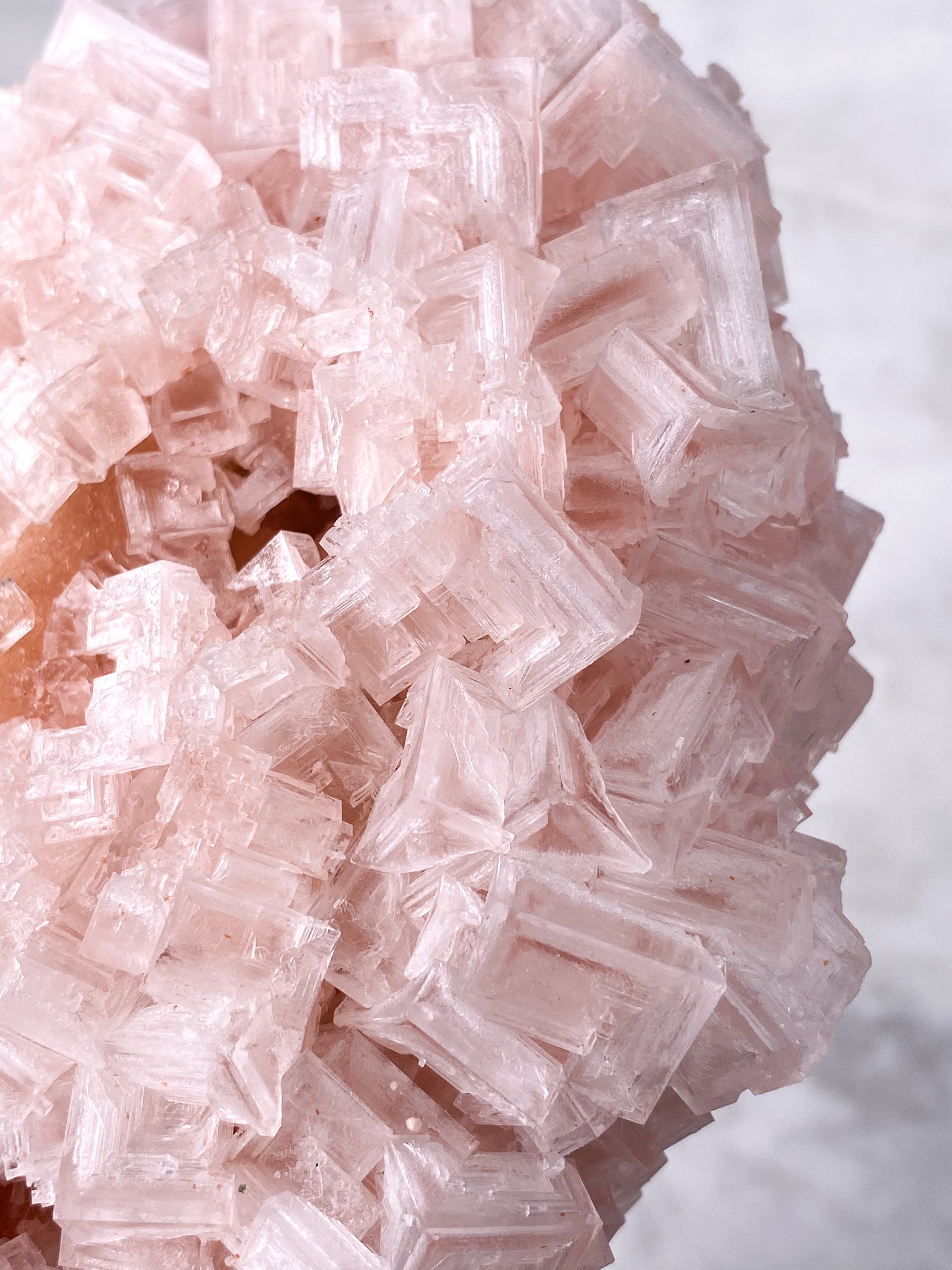 Kæmpe Pink Halit (Nr. 20) Eksklusiv Kvalitet