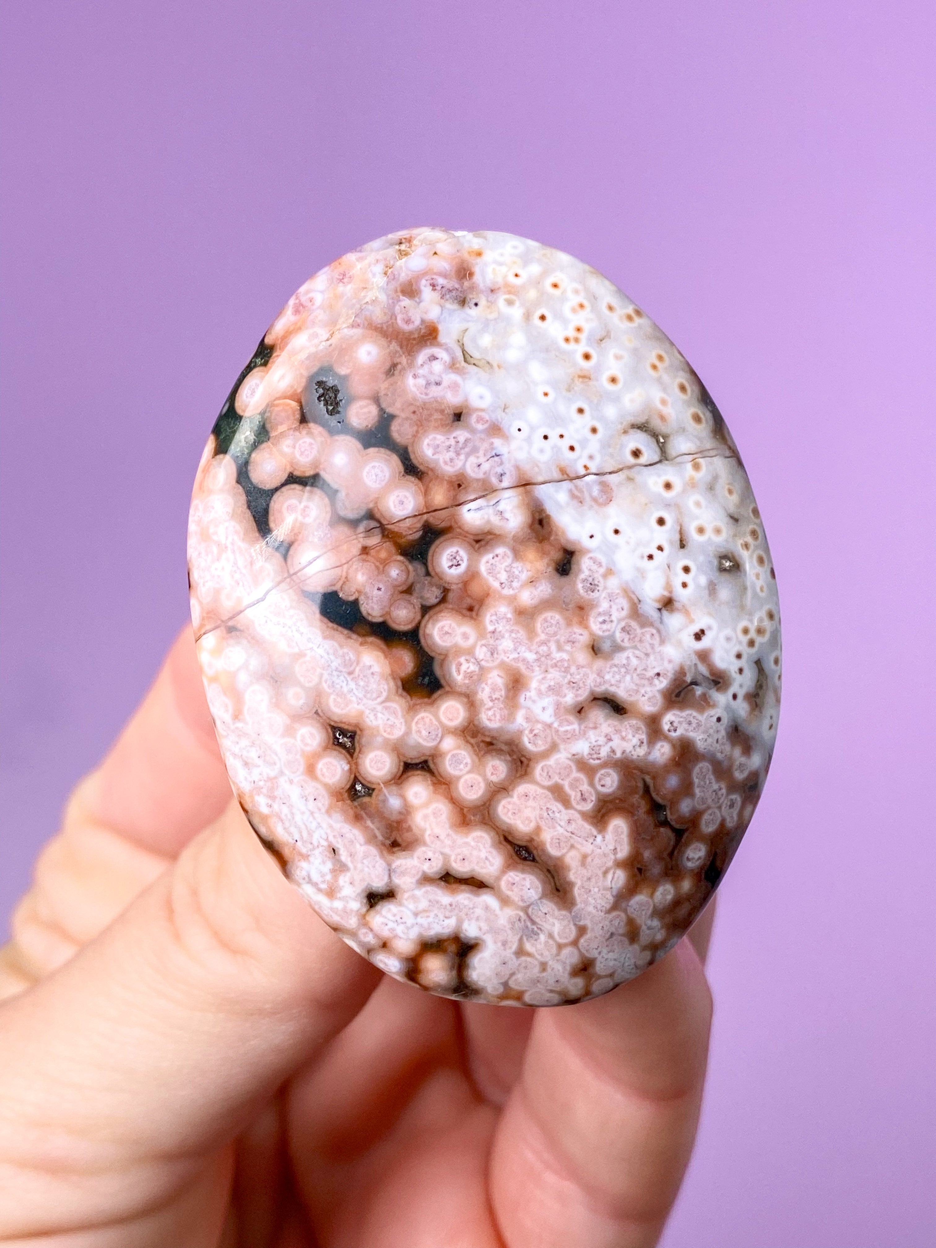 Ocean Jaspis Palmstone (Nr. 2)