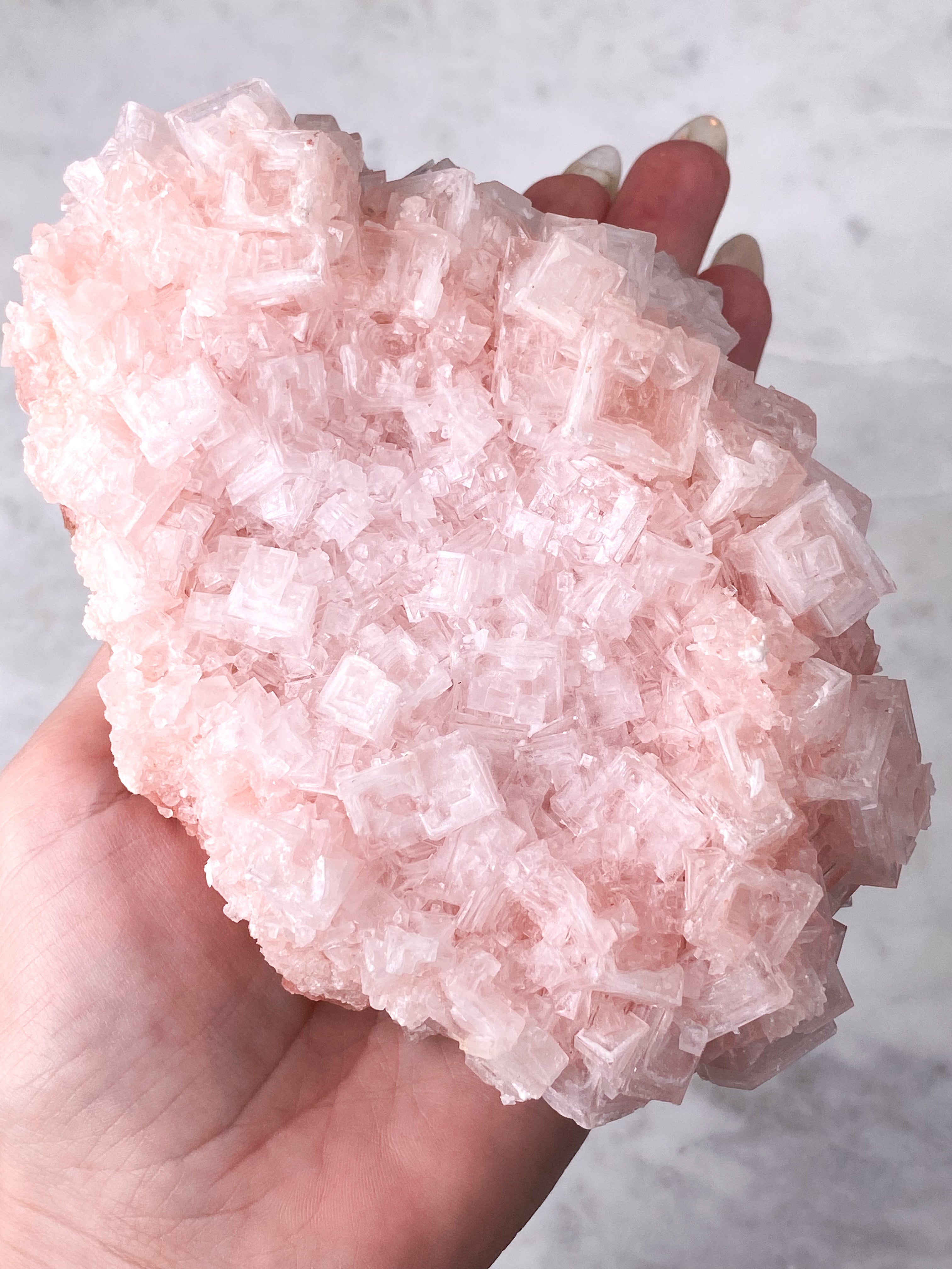Kæmpe Pink Halit (Nr. 20) Eksklusiv Kvalitet