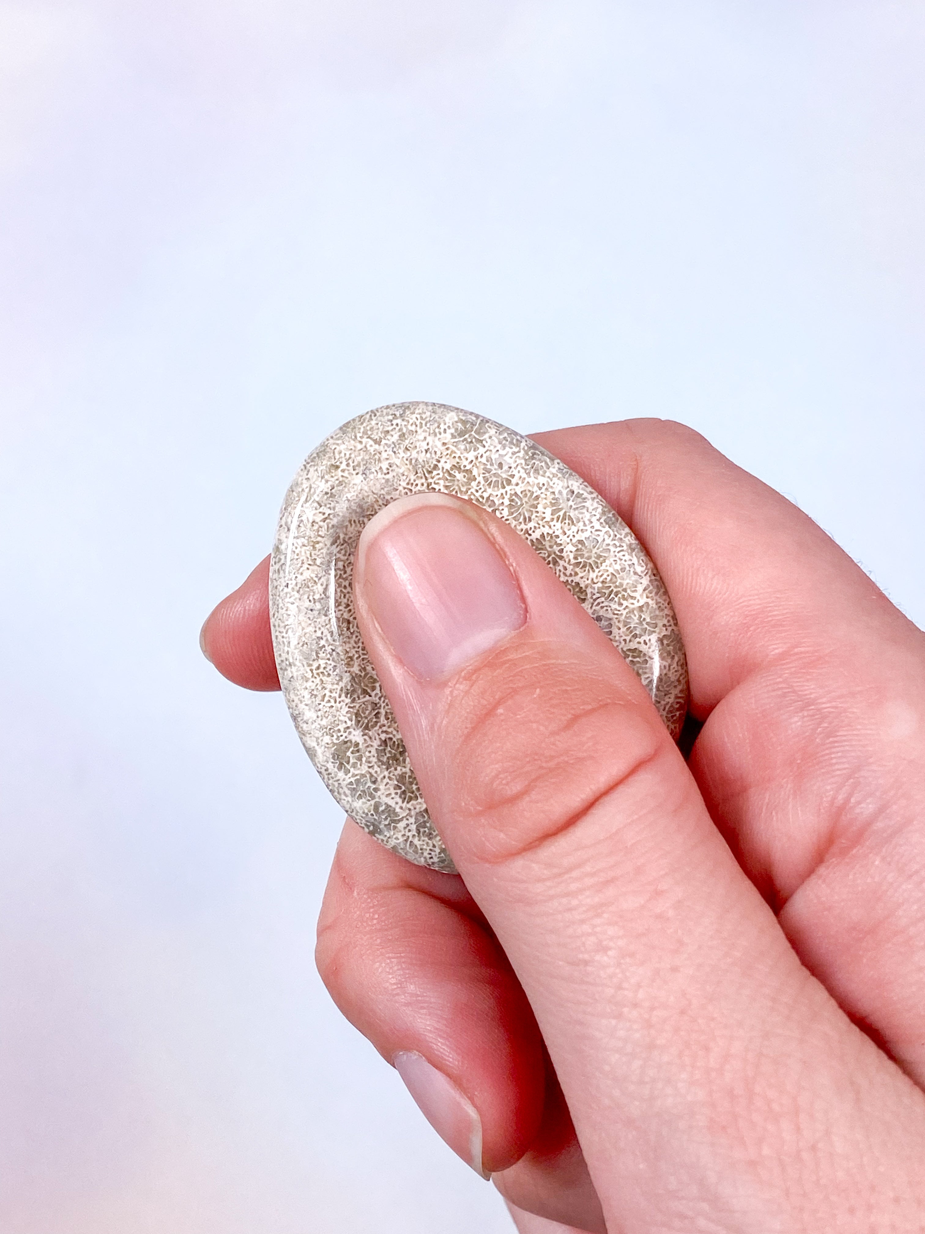 Koralrods Fossil Worrystone (Nr. 2)