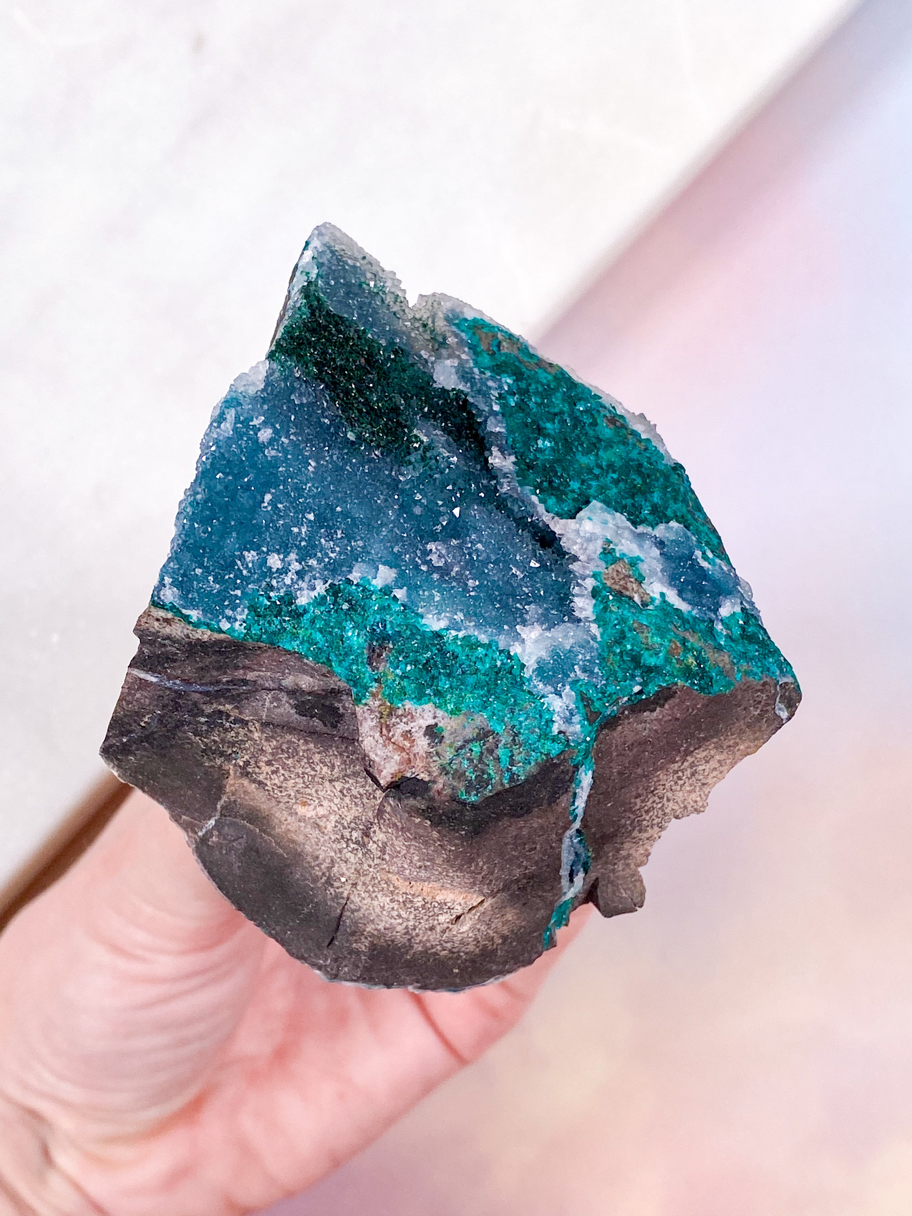 Druzy Dioptase (Nr. 8)