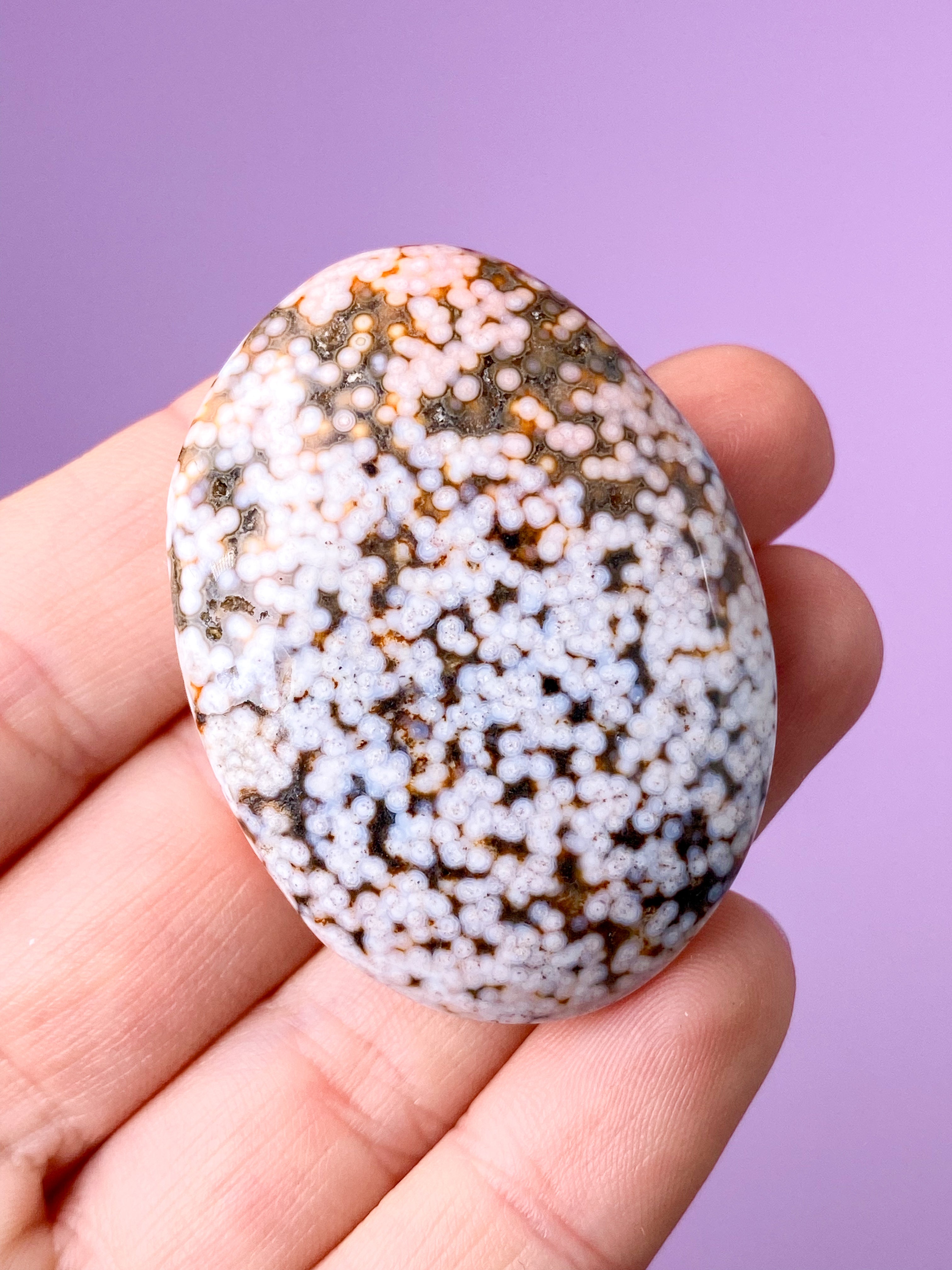 Ocean Jaspis Palmstone (Nr. 4)