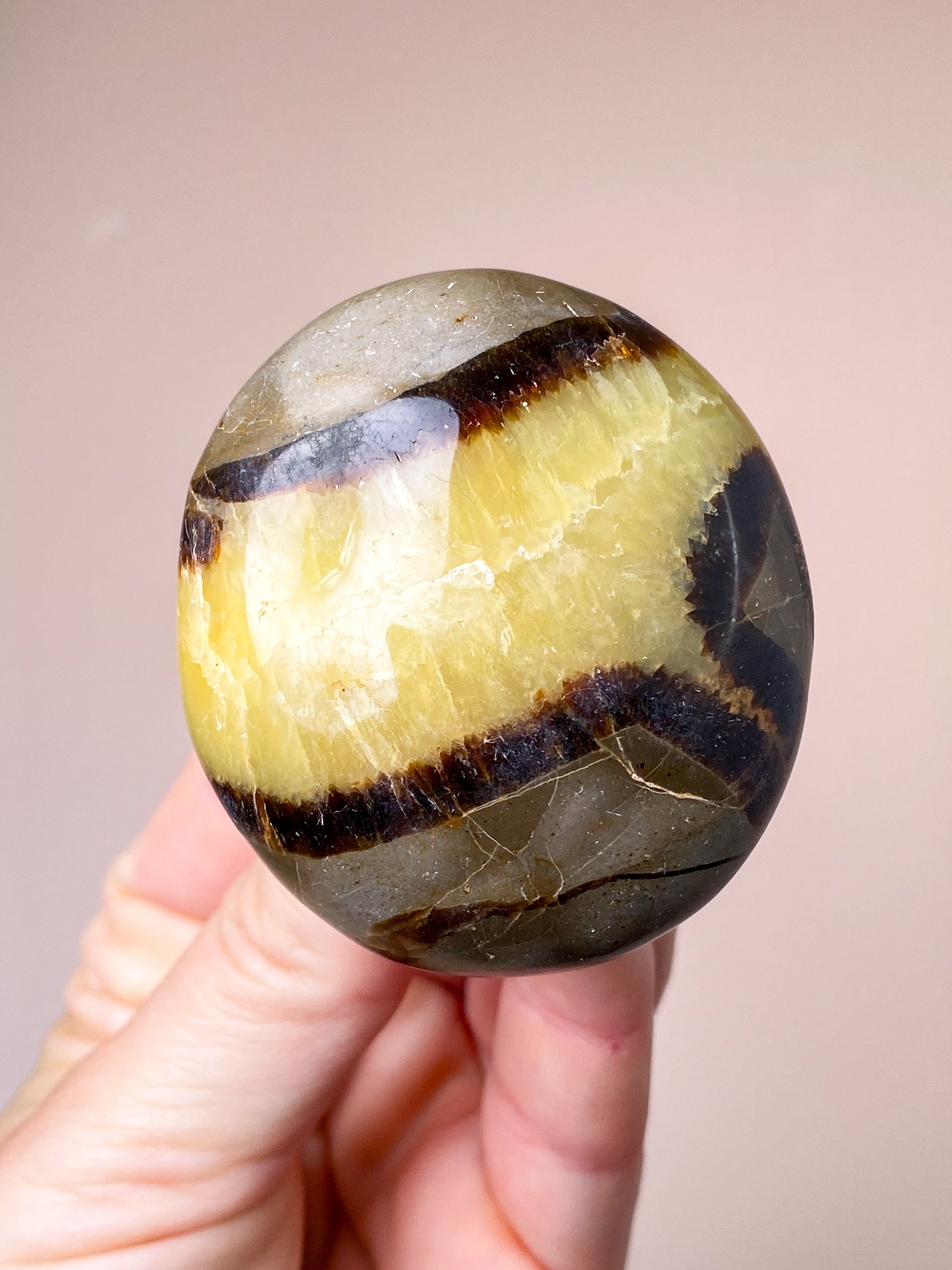 Septarie Palmstone (Nr. 3)