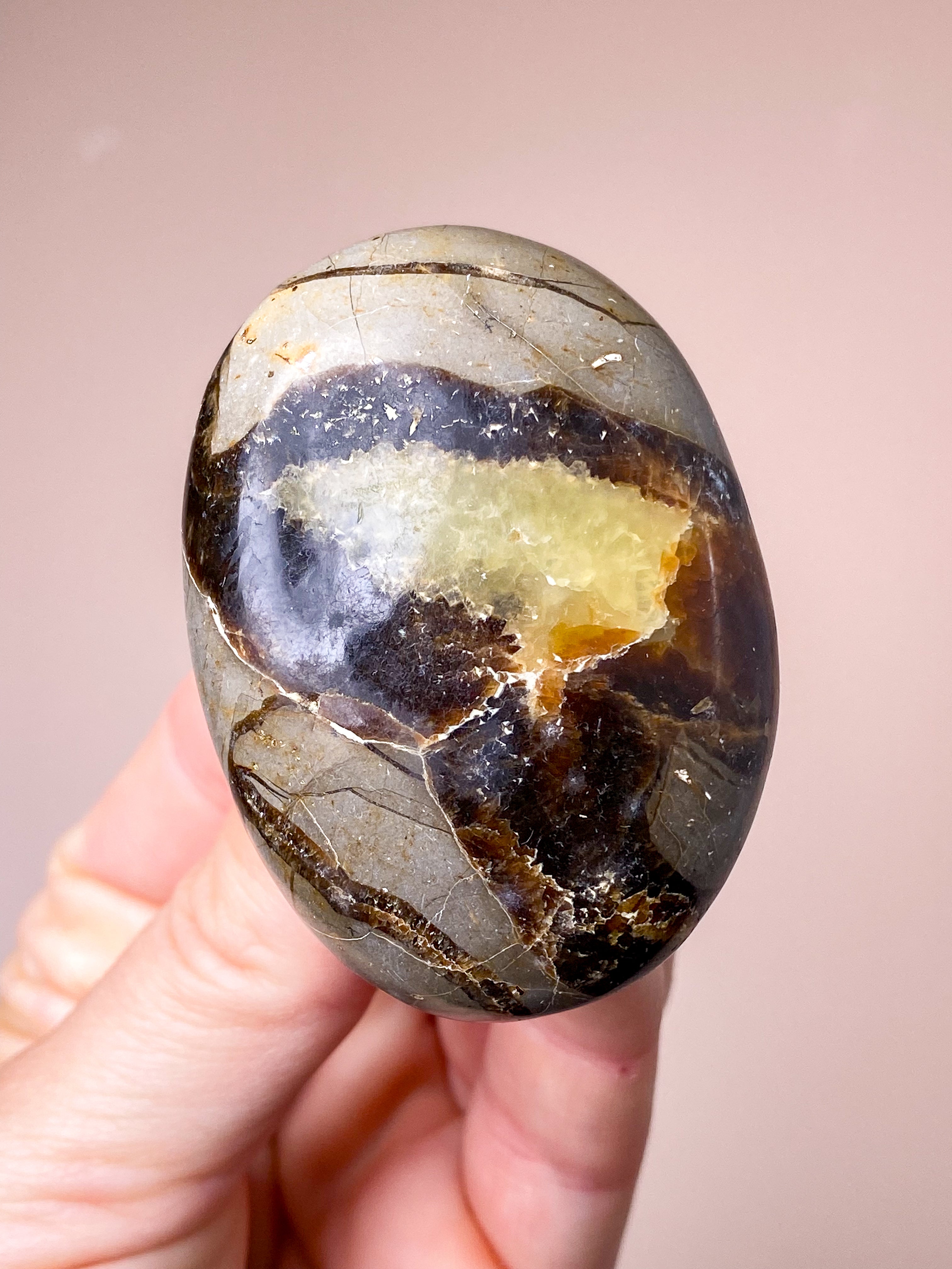 Septarie Palmstone (Nr. 4)