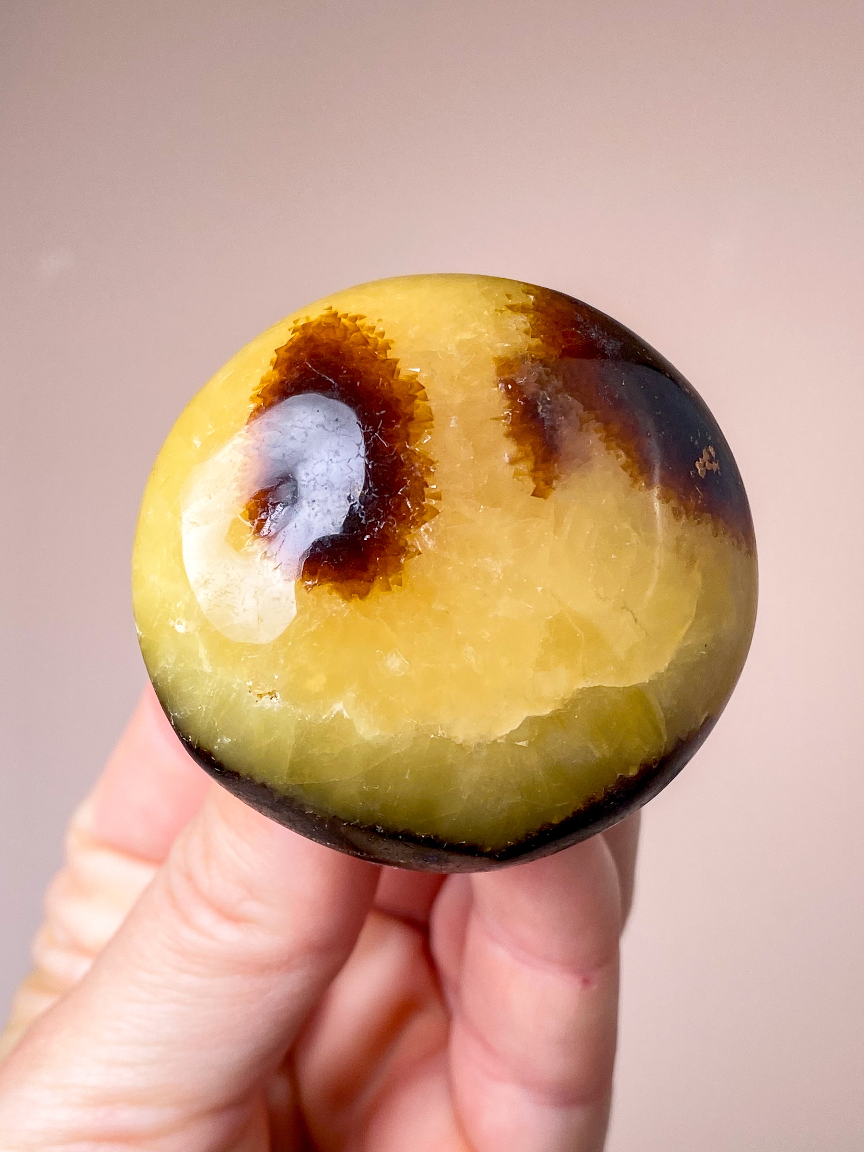 Septarie Palmstone (Nr. 5)