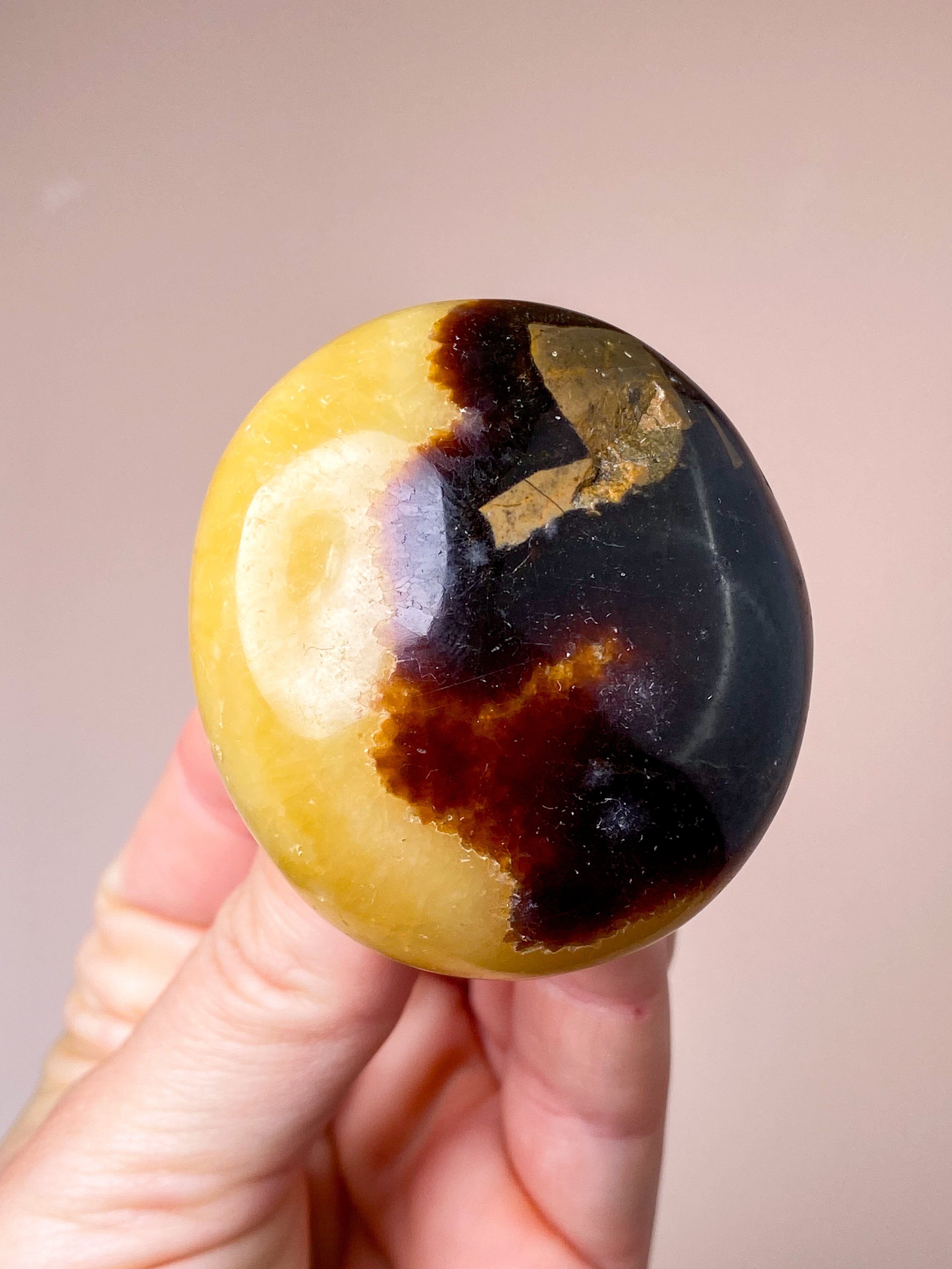 Septarie Palmstone (Nr. 6)