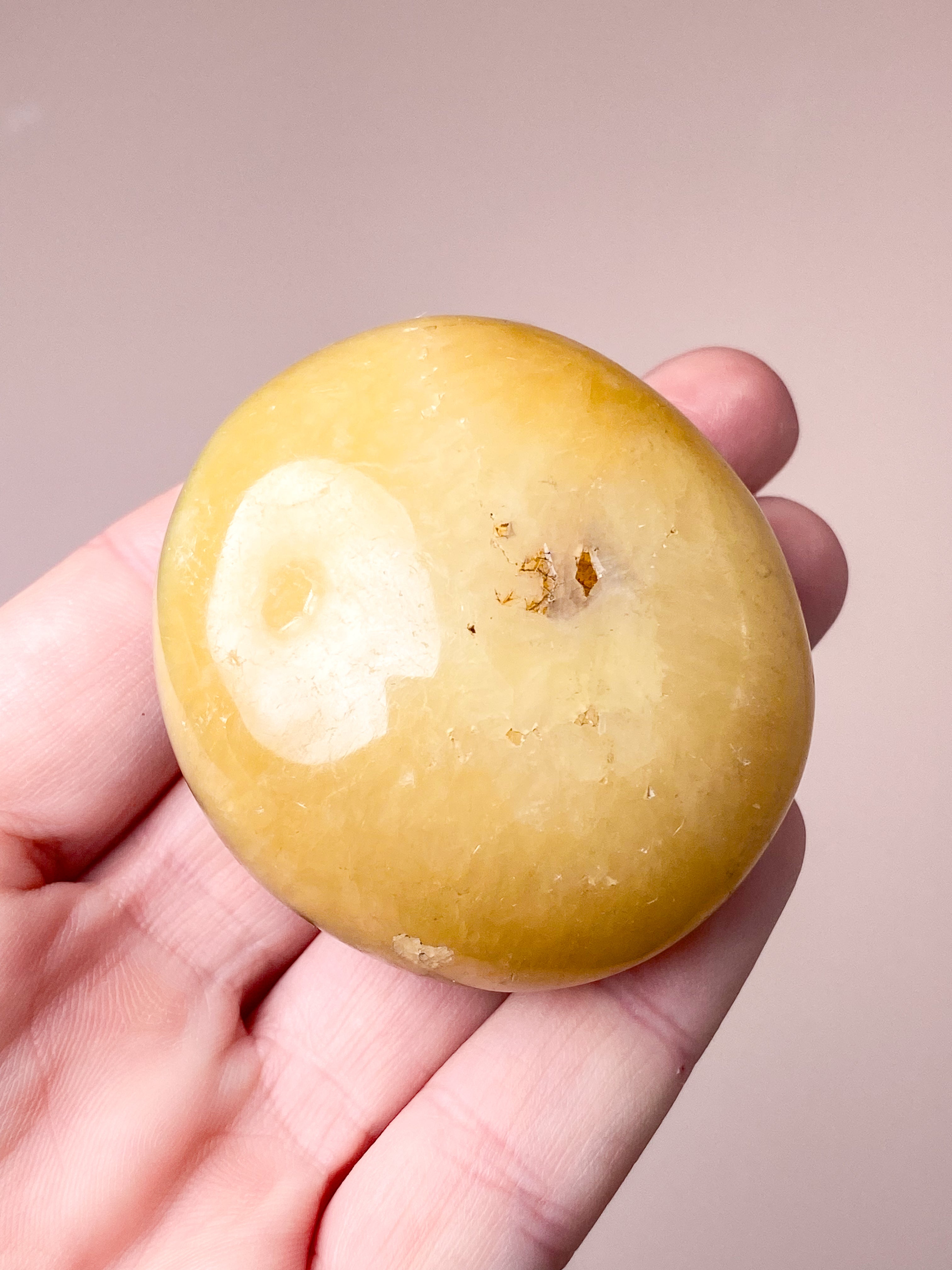 Septarie Palmstone (Nr. 6)