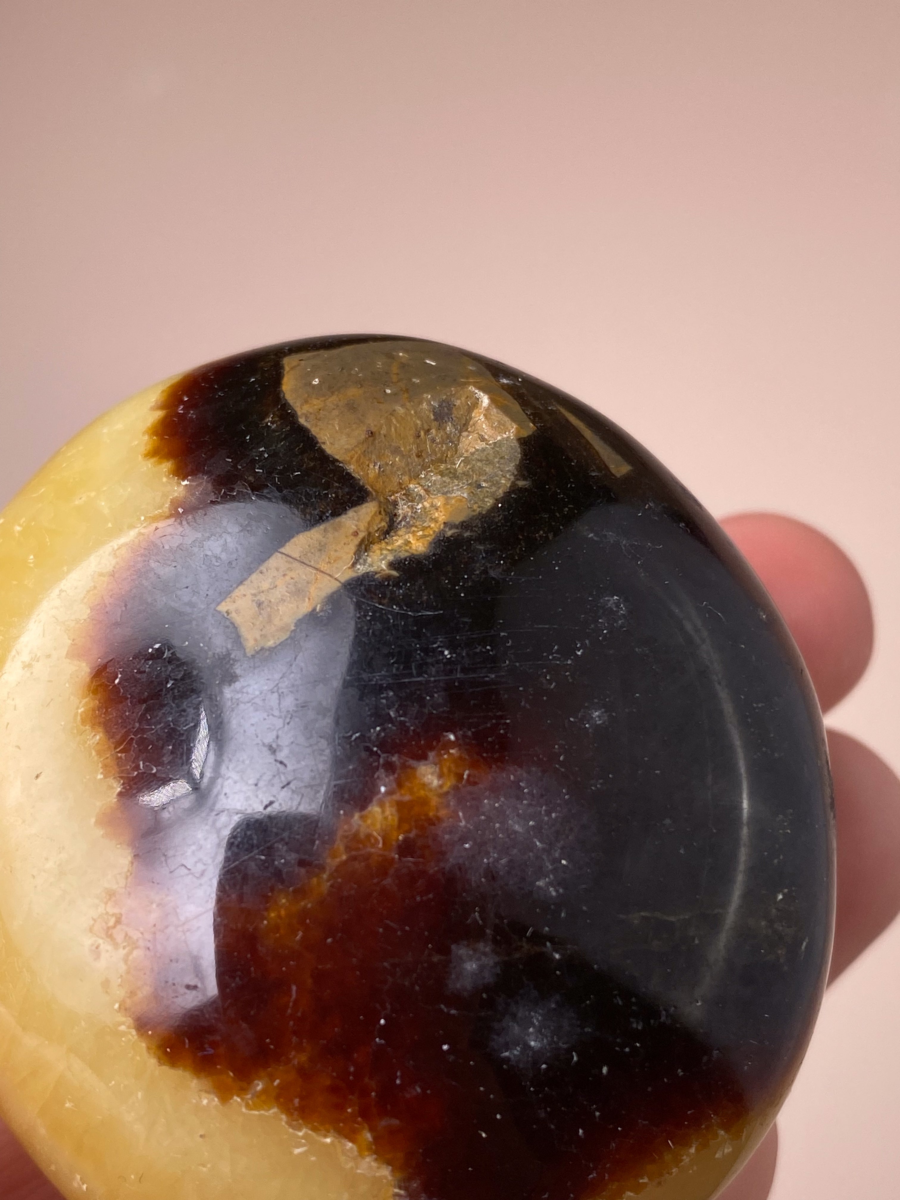 Septarie Palmstone (Nr. 6)