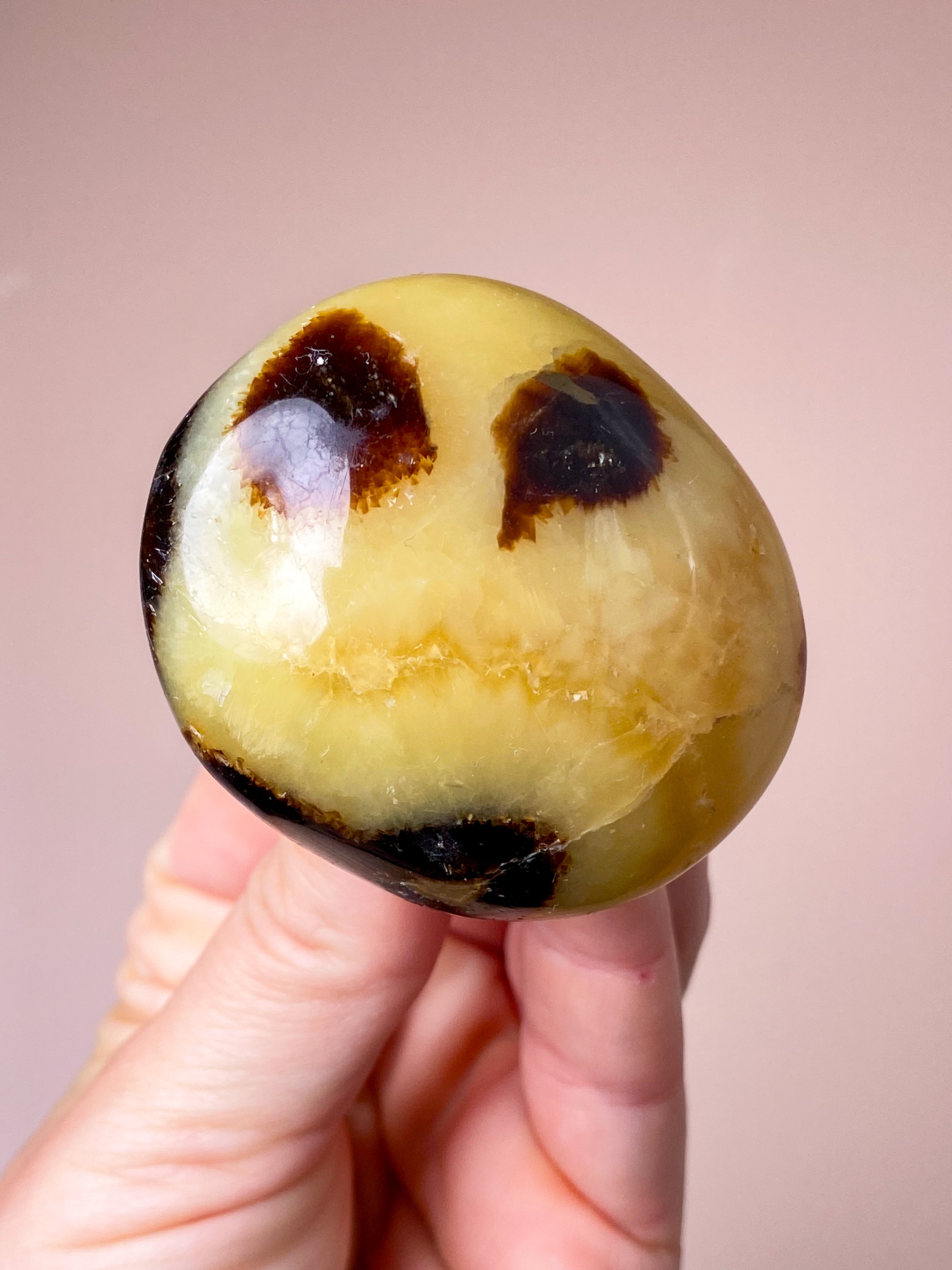 Septarie Palmstone (Nr. 8)