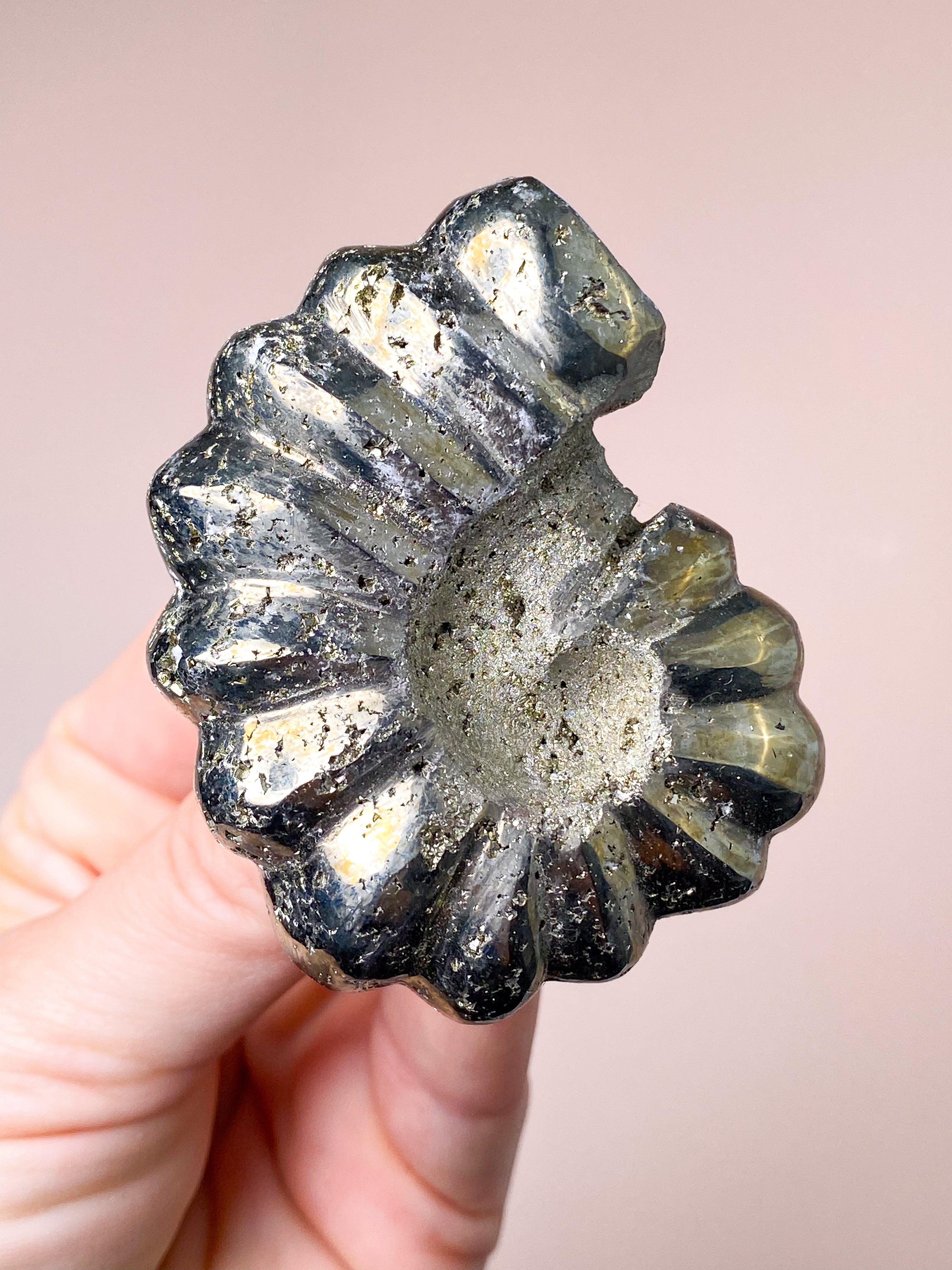 Pyrite Ammonite (No. 1)