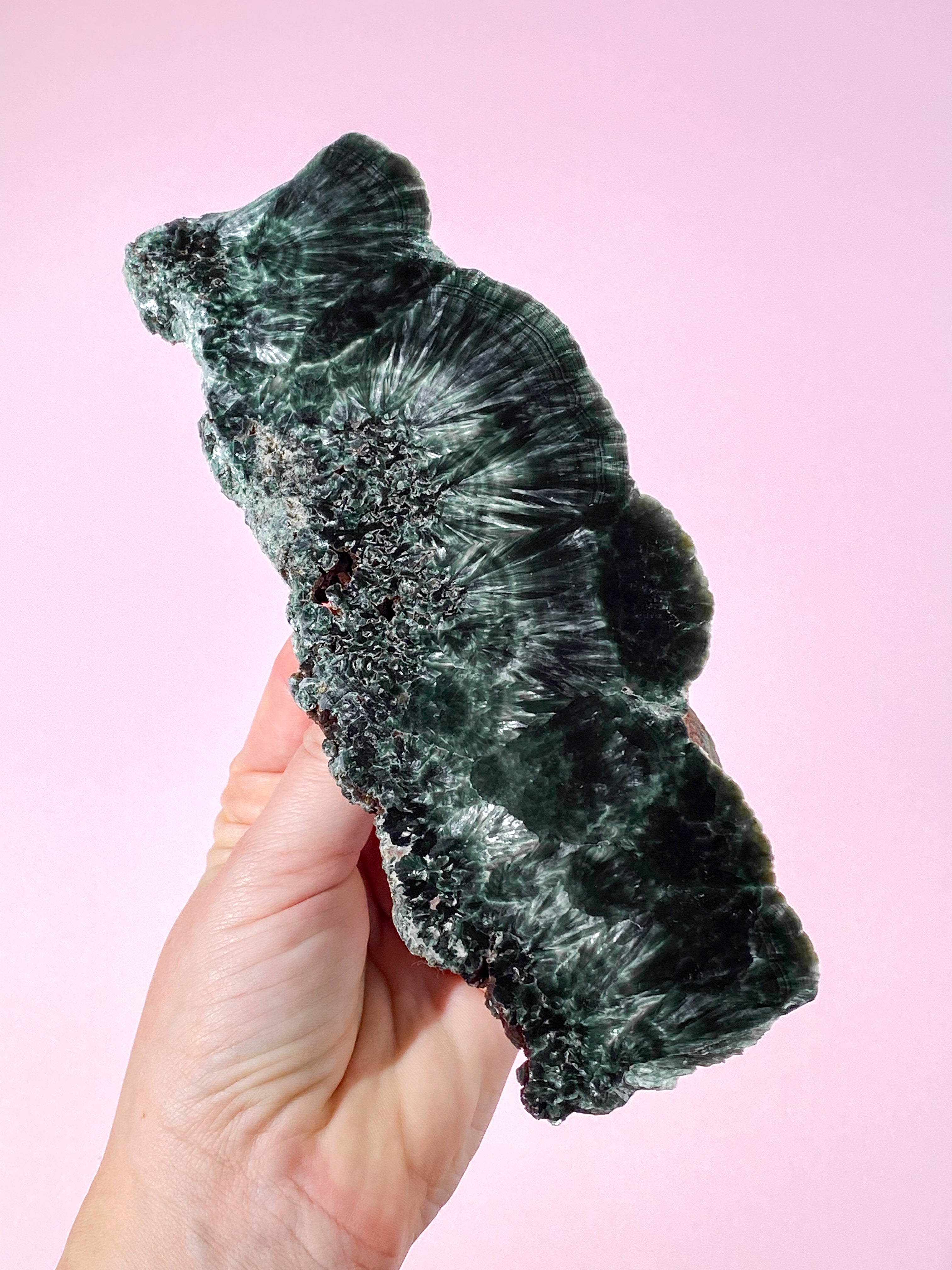 Serafinit Poleret (Nr. 1) Eksklusiv Kvalitet