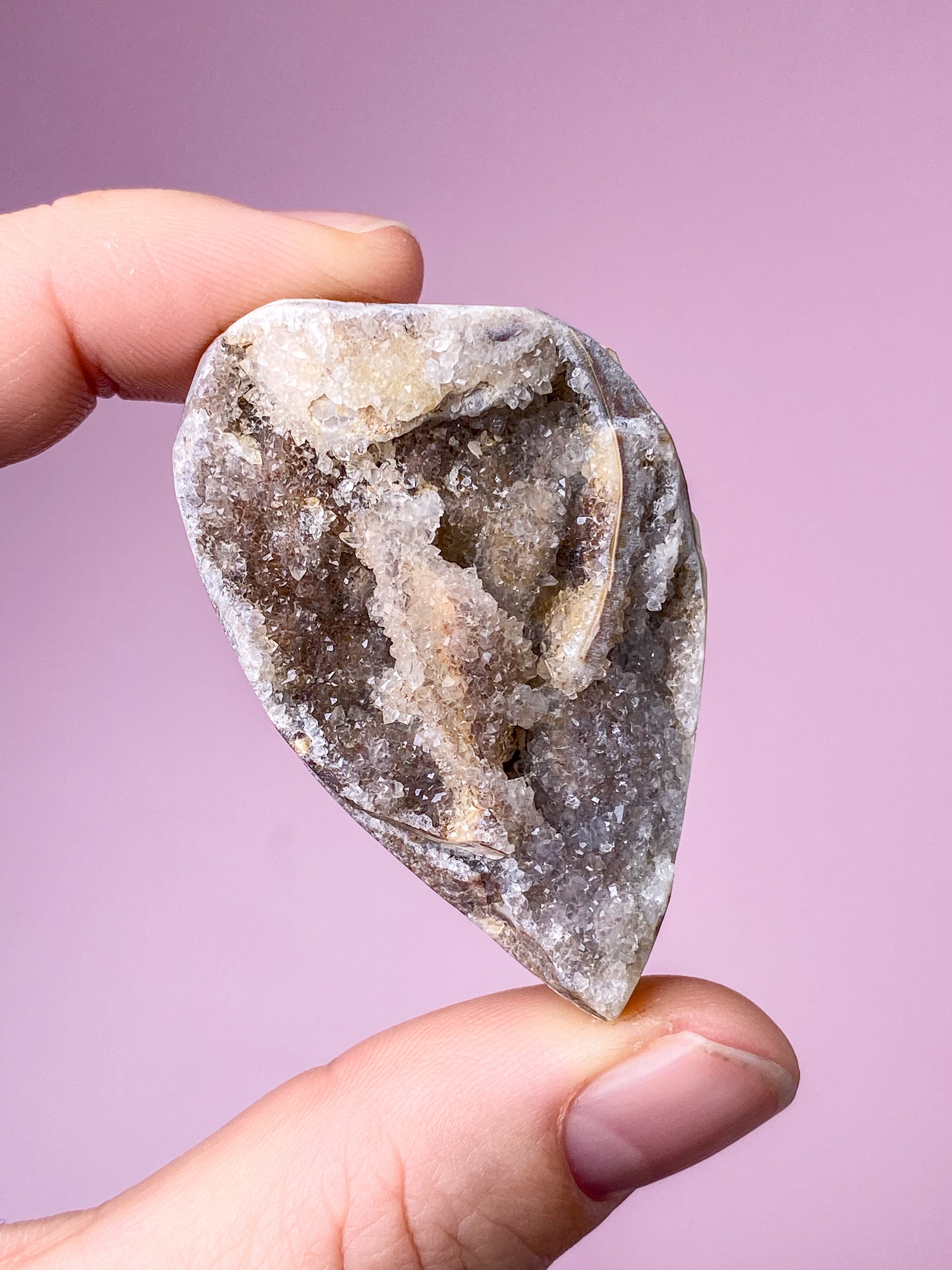 Druzy Konkylie Fossil (Nr. 28)