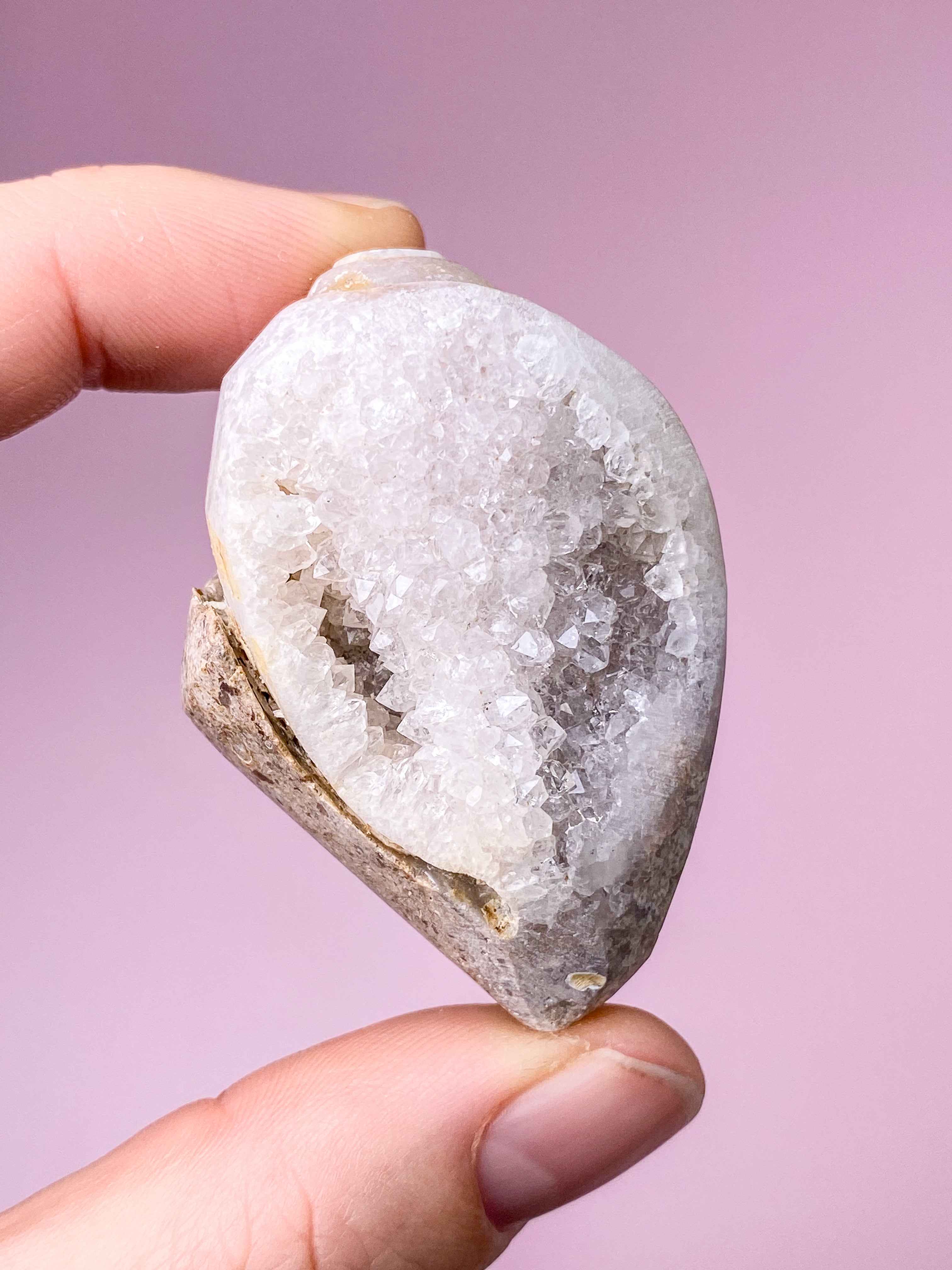 Druzy Konkylie Fossil (Nr. 30)