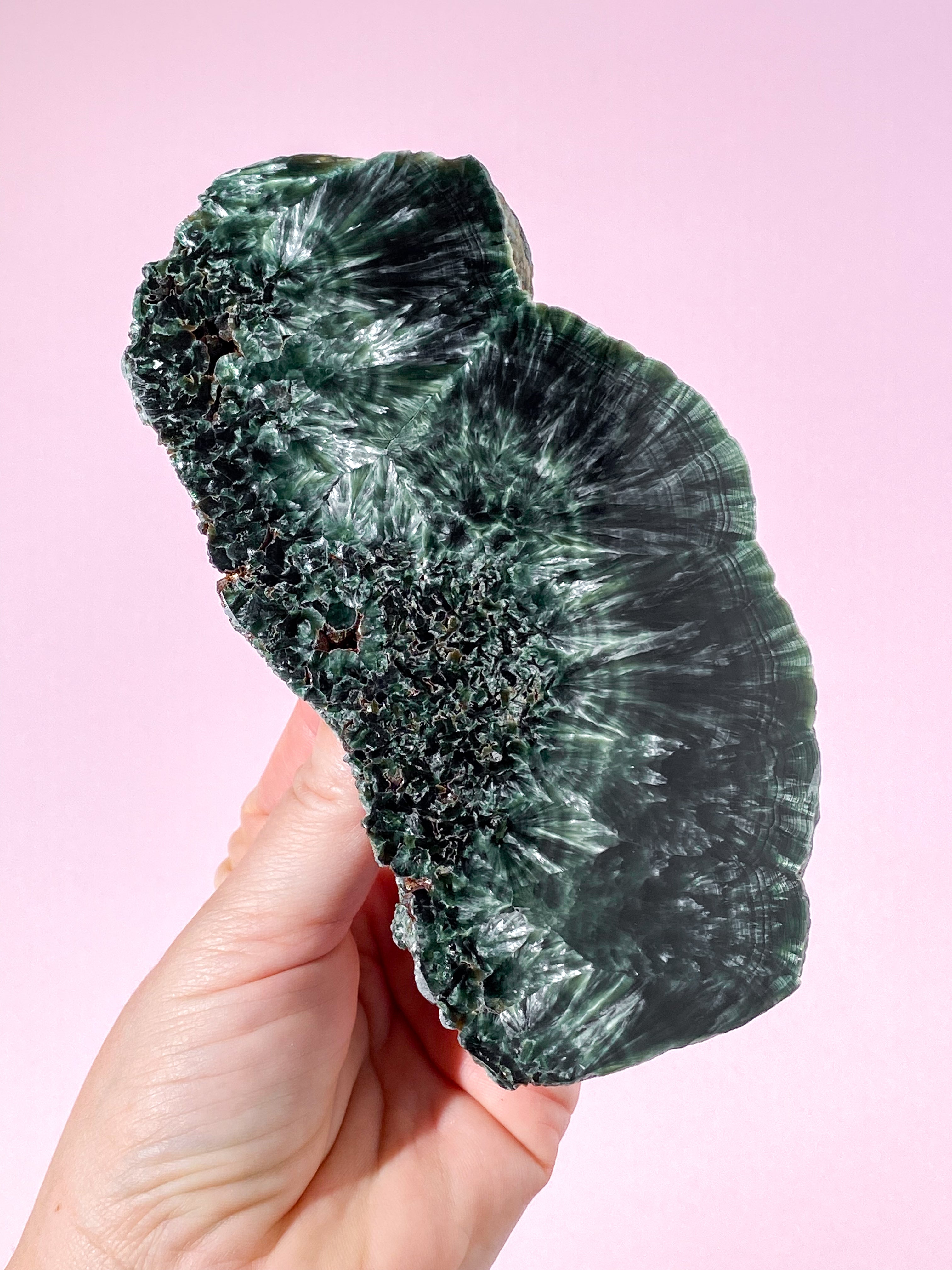 Serafinit Poleret (Nr. 5) Eksklusiv Kvalitet