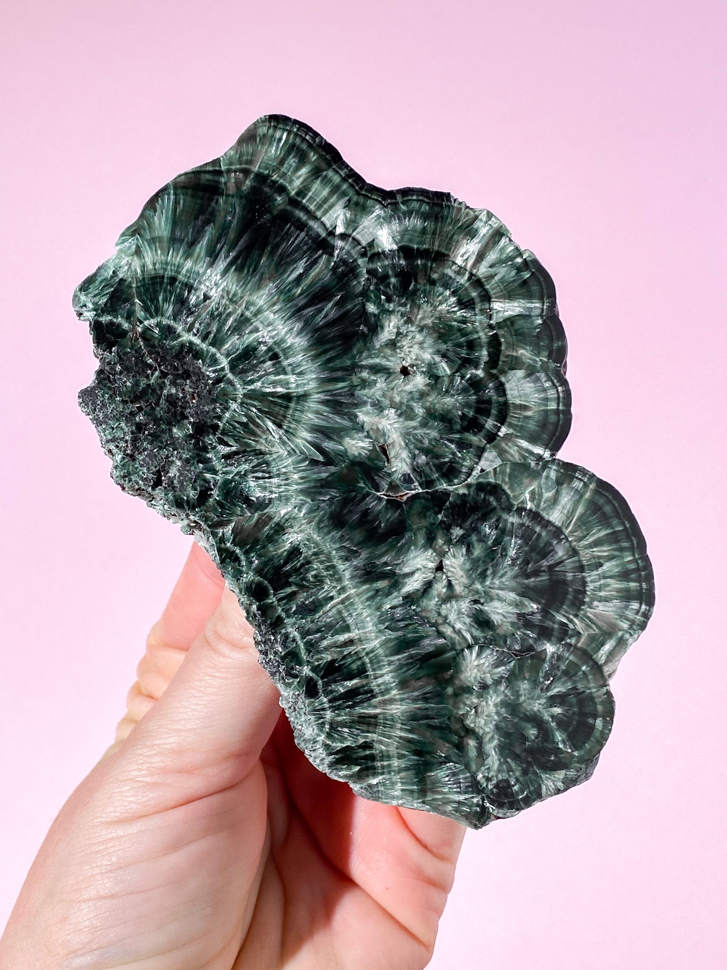 Serafinit Poleret (Nr. 8) Eksklusiv Kvalitet