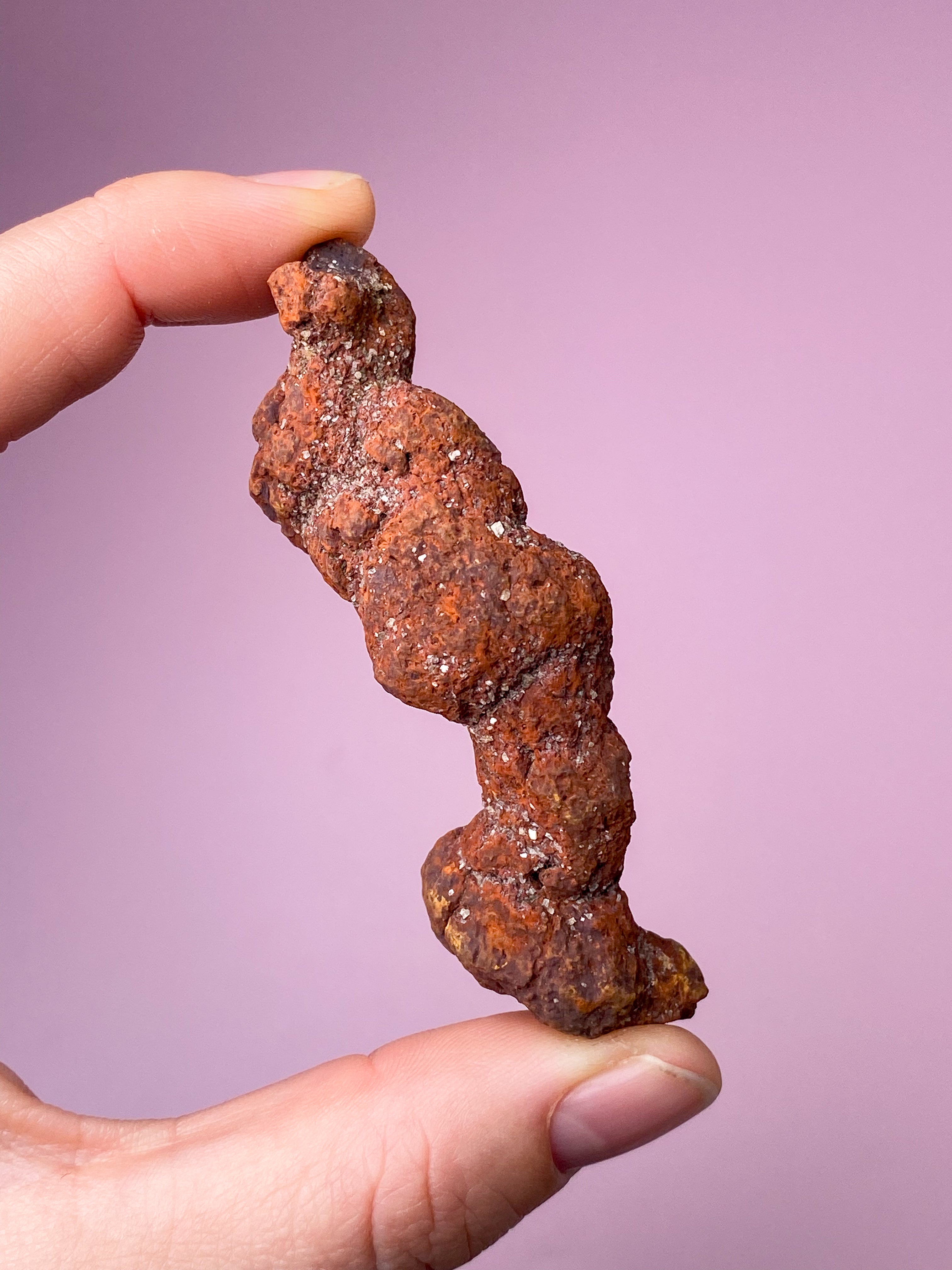 Koprolit Fossil (Nr. 2)