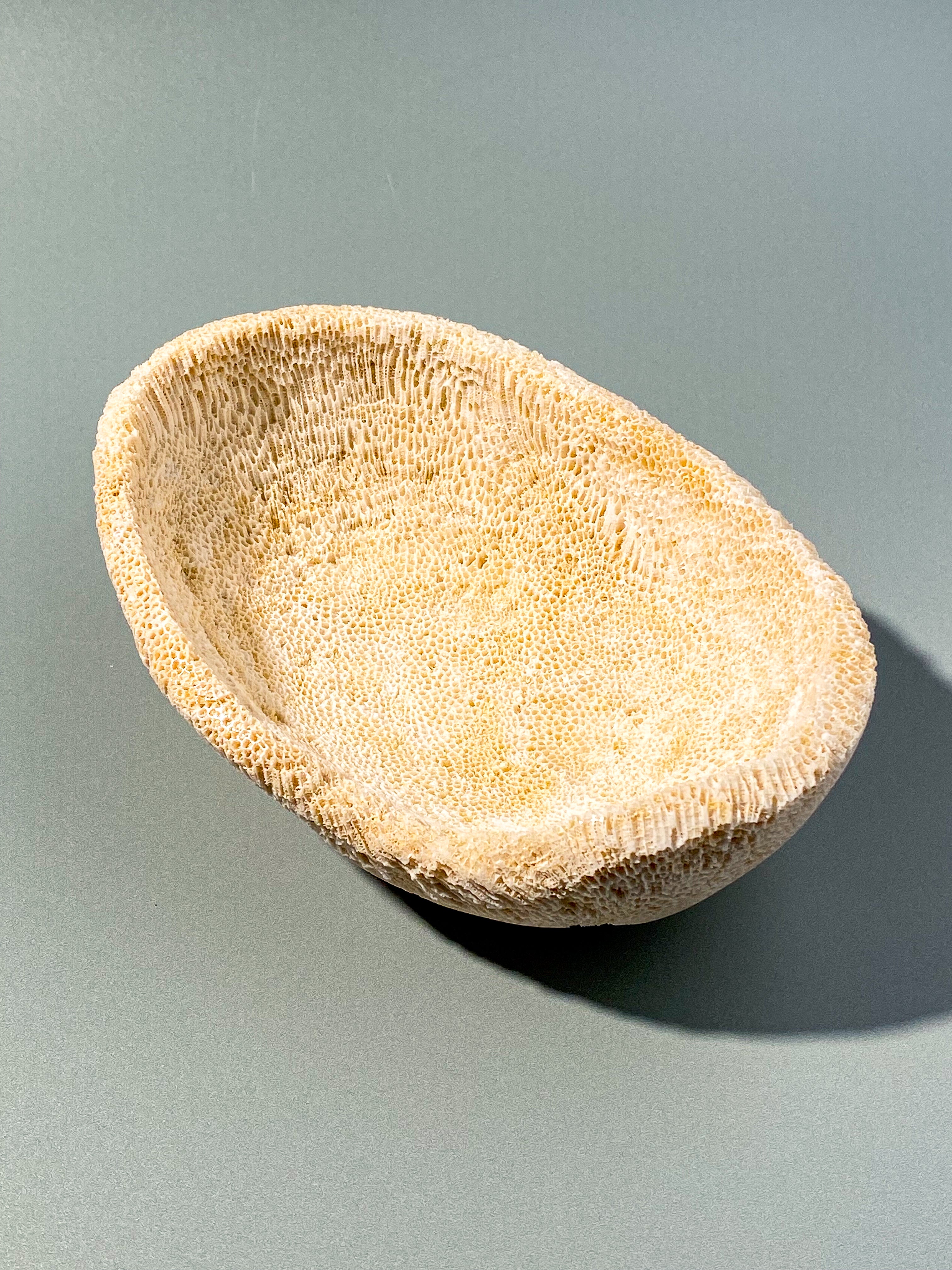 Koralrods Fossil Skål (Nr. 1)