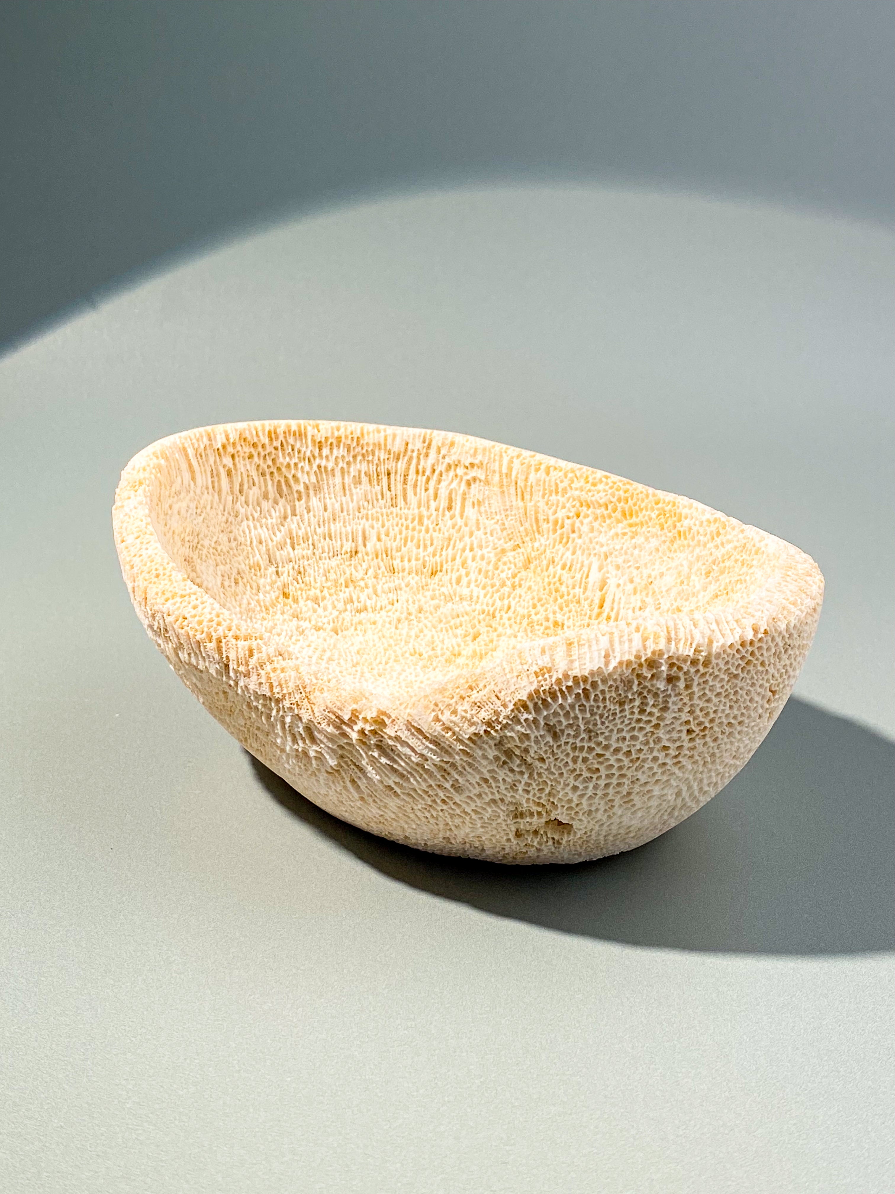 Koralrods Fossil Skål (Nr. 1)