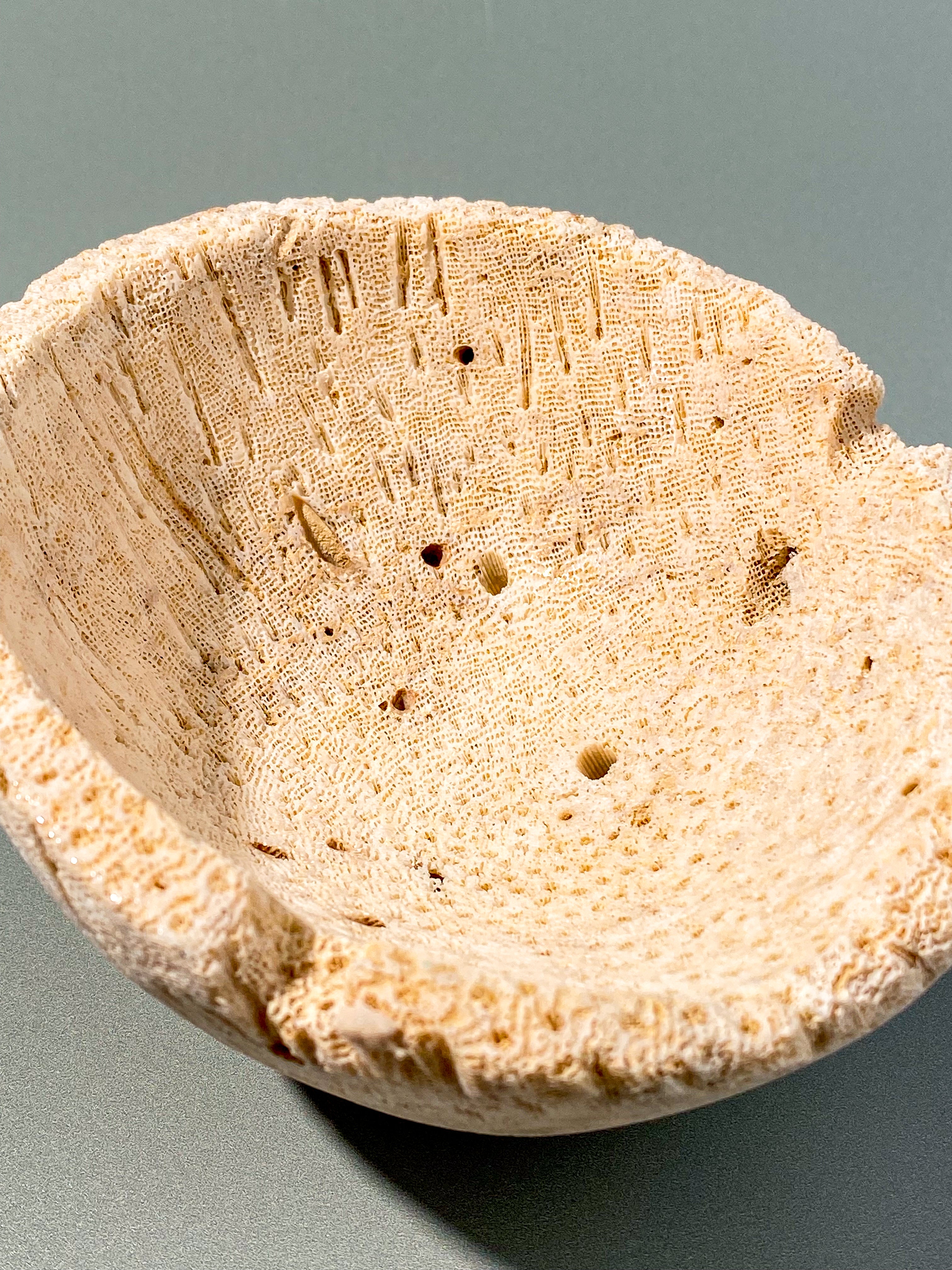 Koralrods Fossil Skål (Nr. 2)