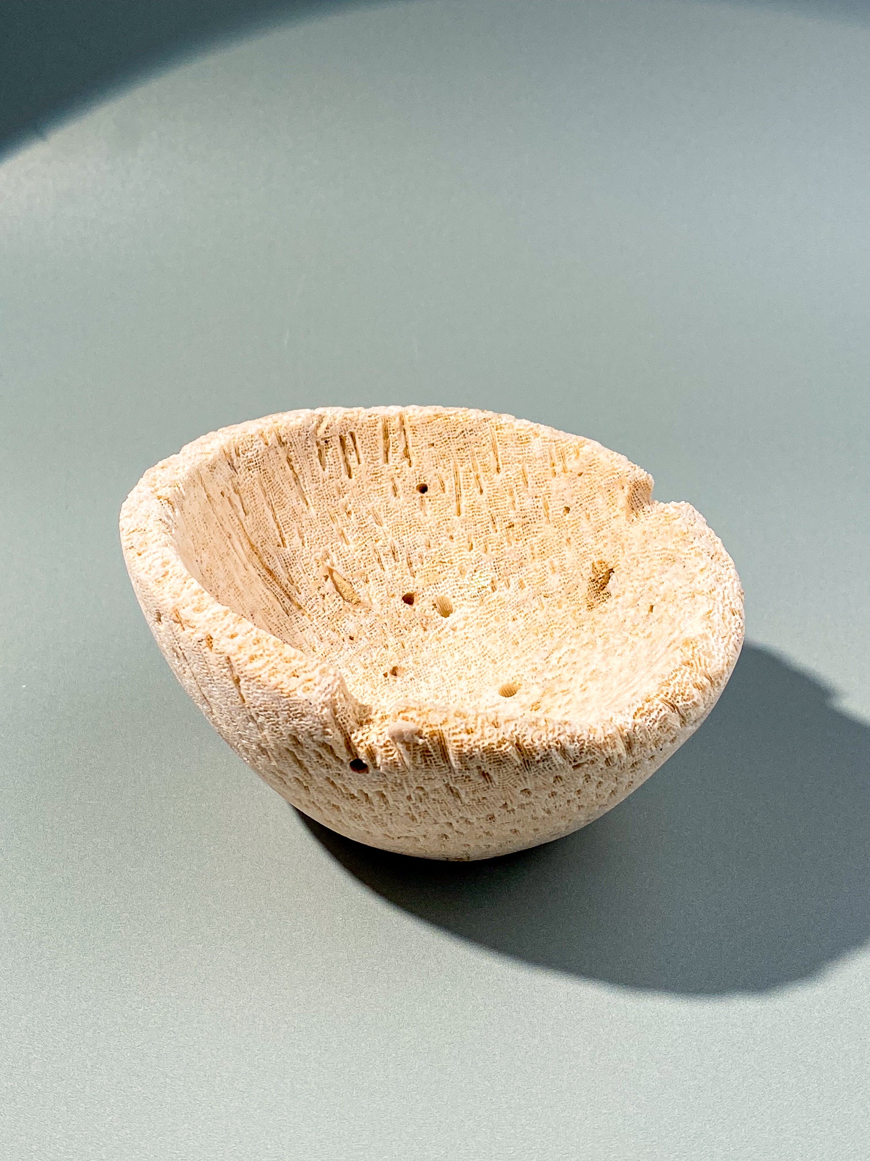 Koralrods Fossil Skål (Nr. 2)