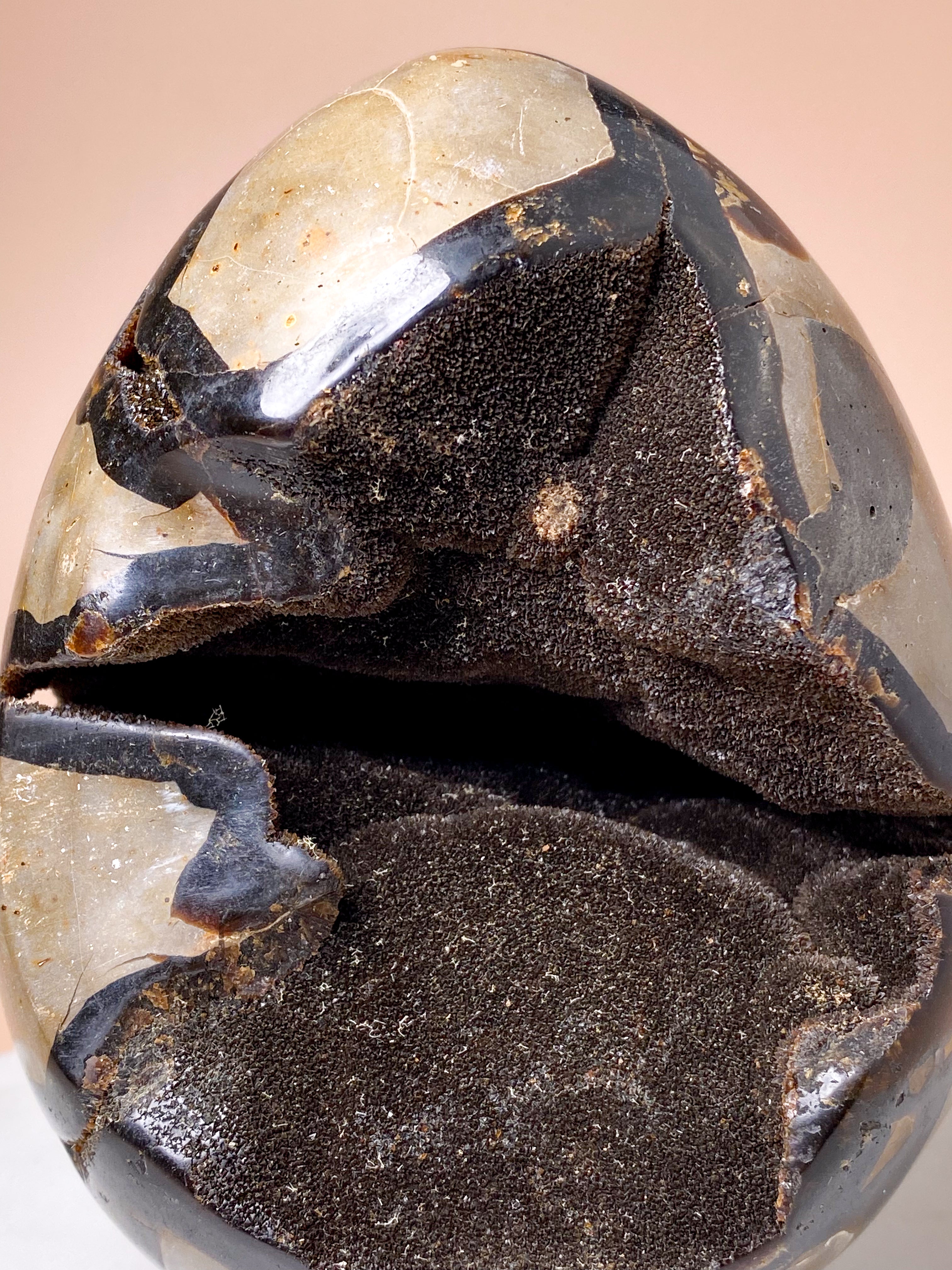 Druzy Septarie æg (Nr. 1)