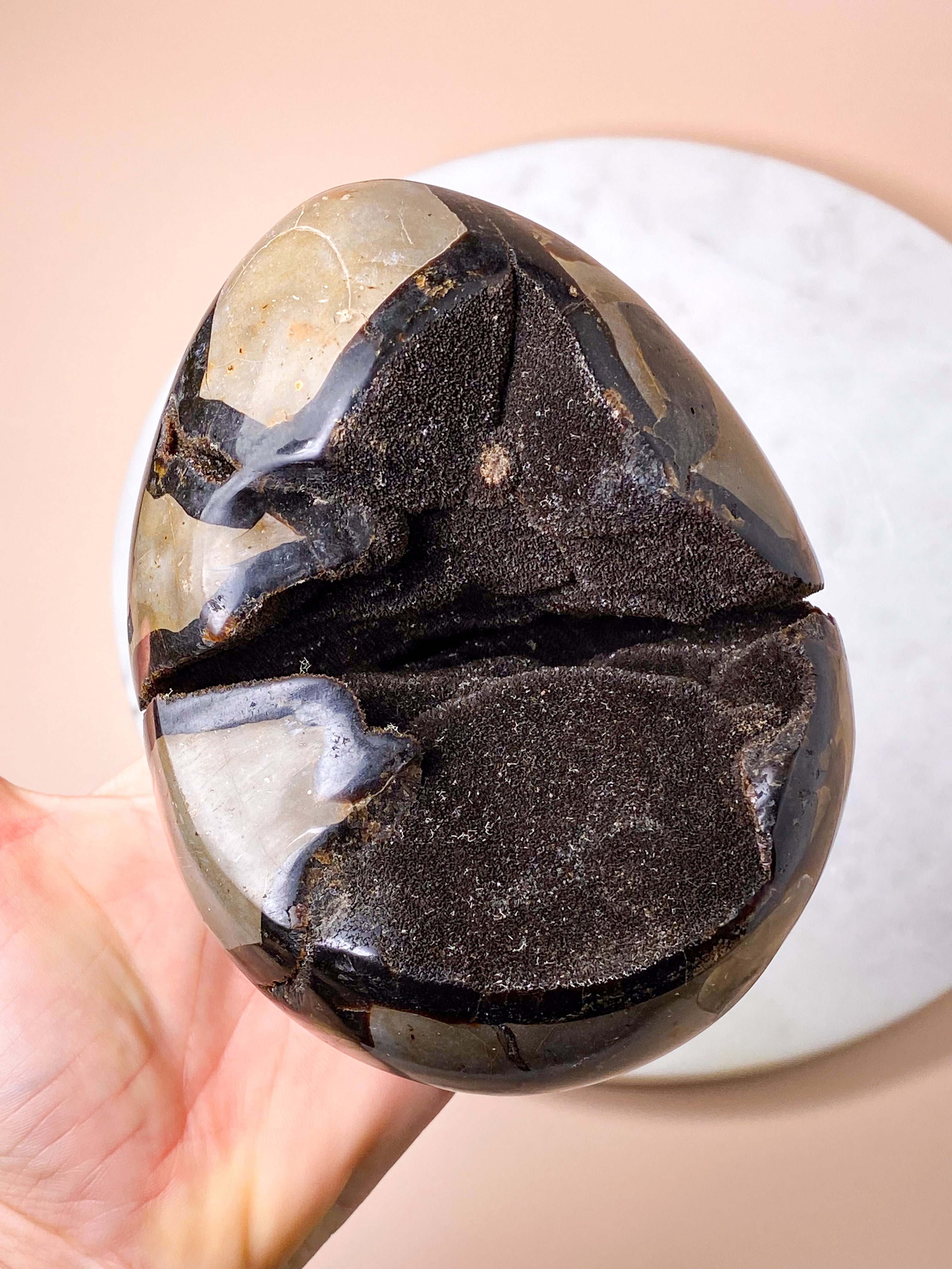 Druzy Septarie æg (Nr. 1)