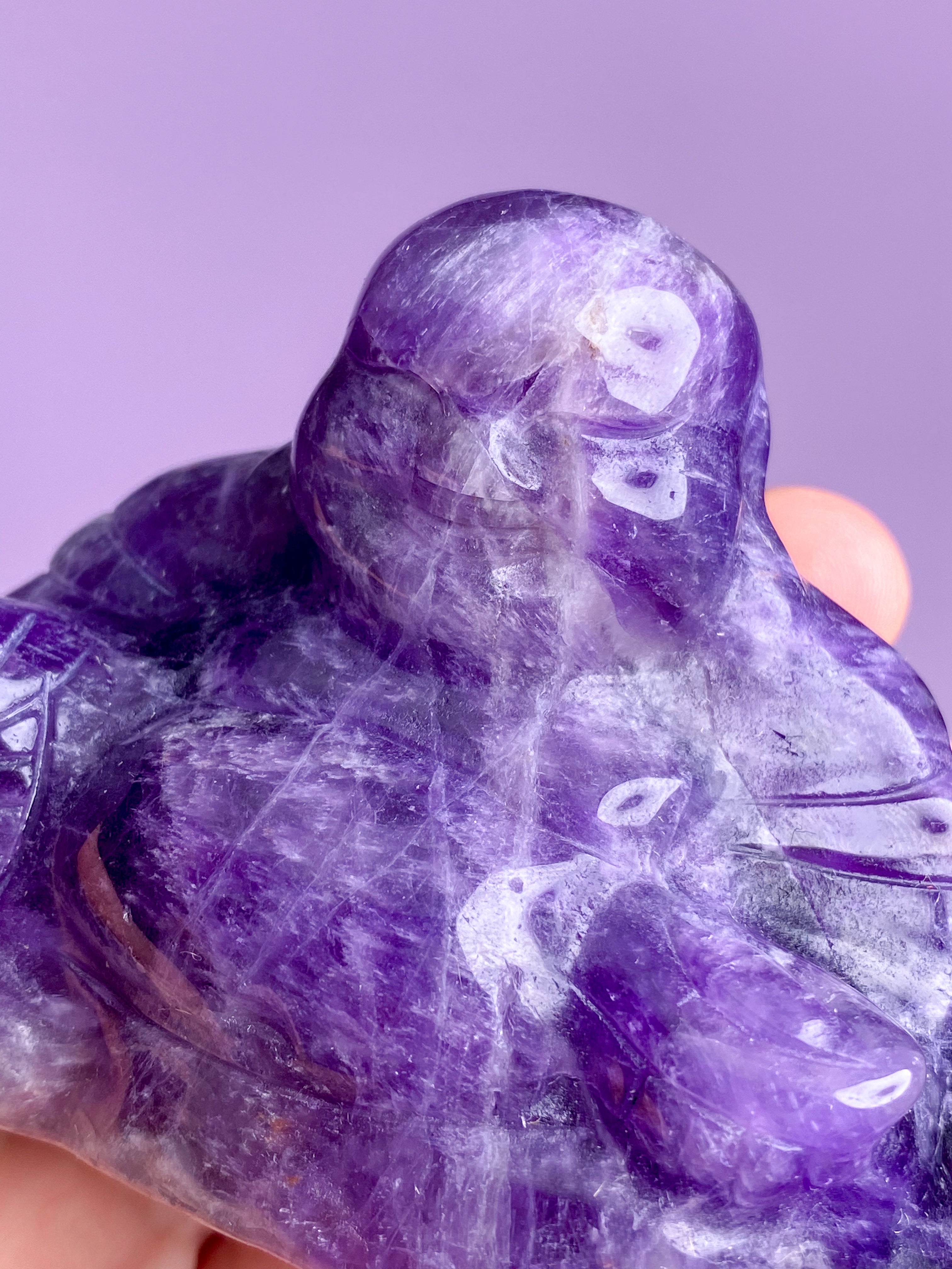 Amethyst ficksten