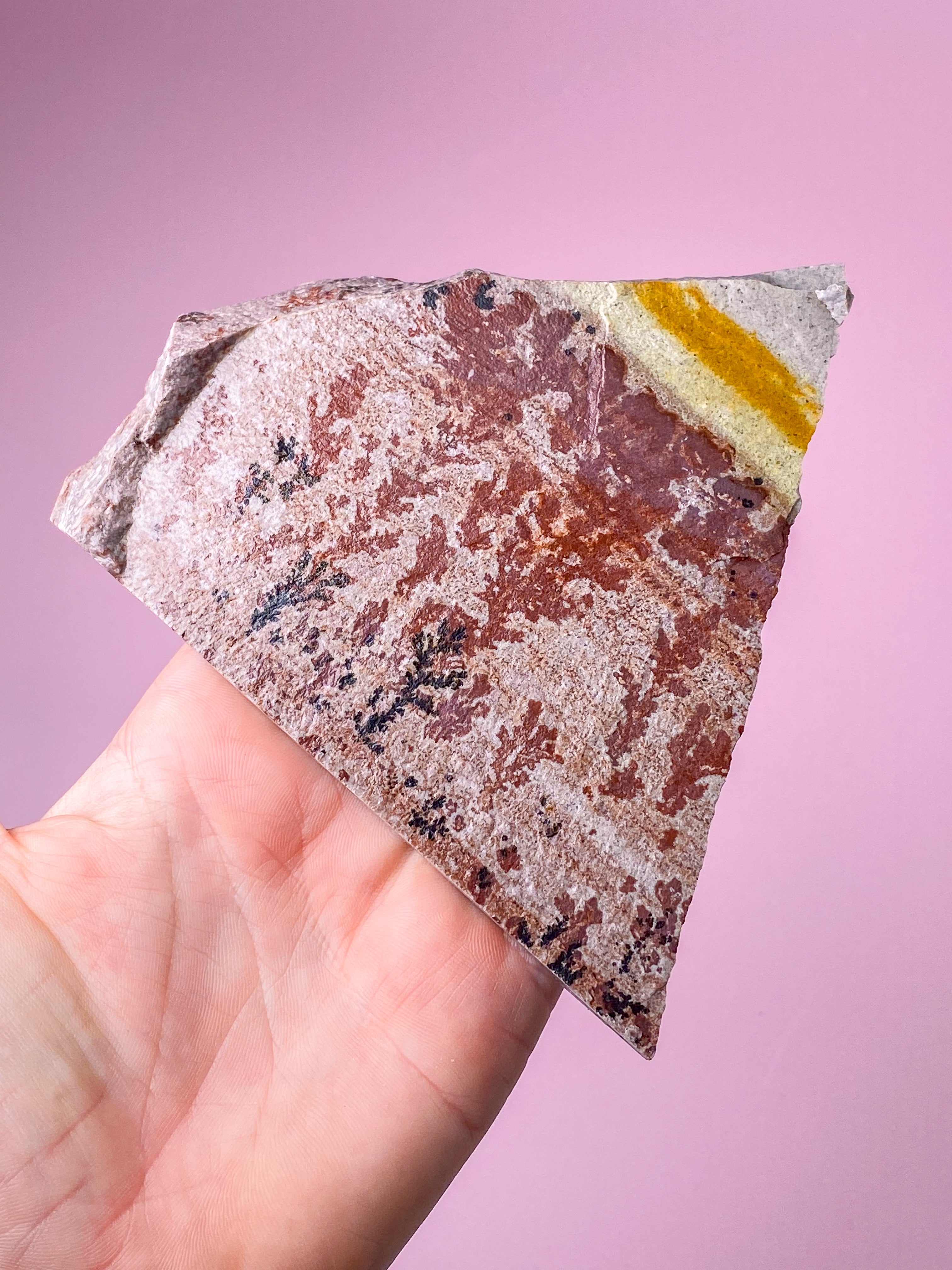 Utah Dendrite (No. 6)