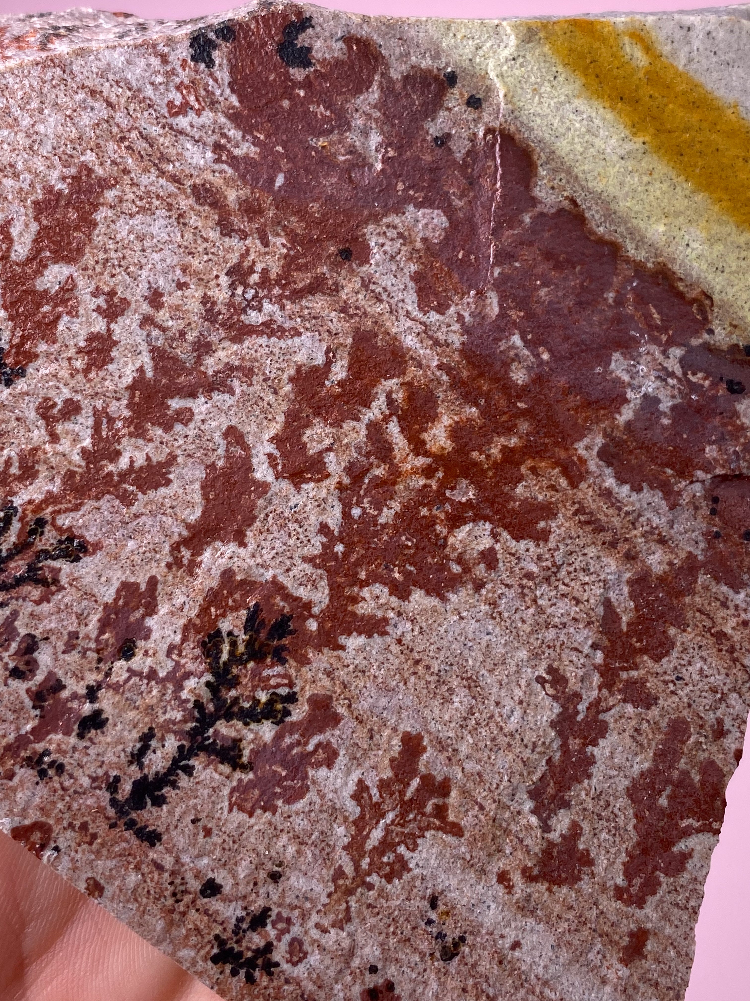 Utah Dendrite (No. 6)