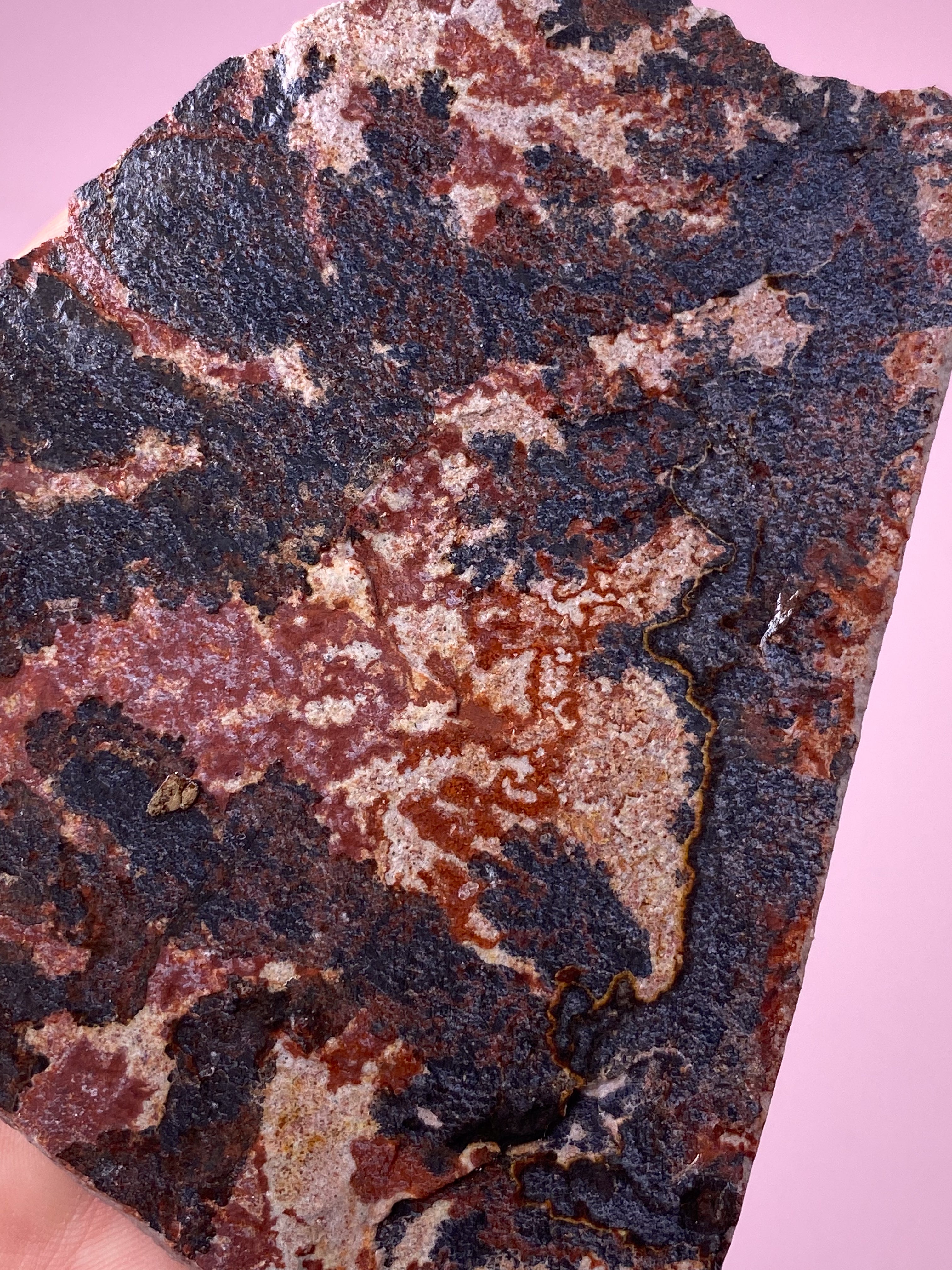 Utah Dendrite (No. 6)