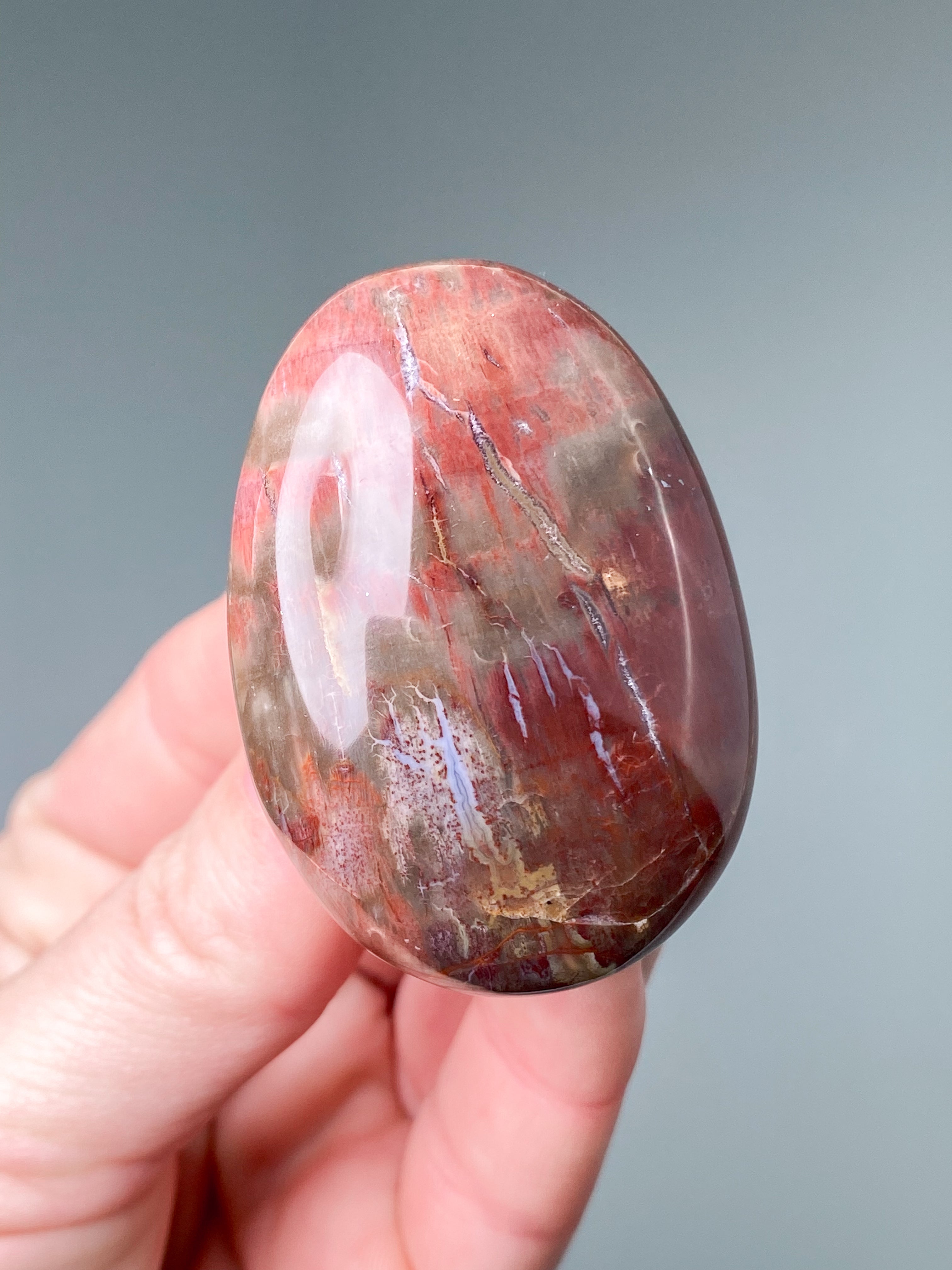 Forstenet Træ Palmstone (Nr. 3)