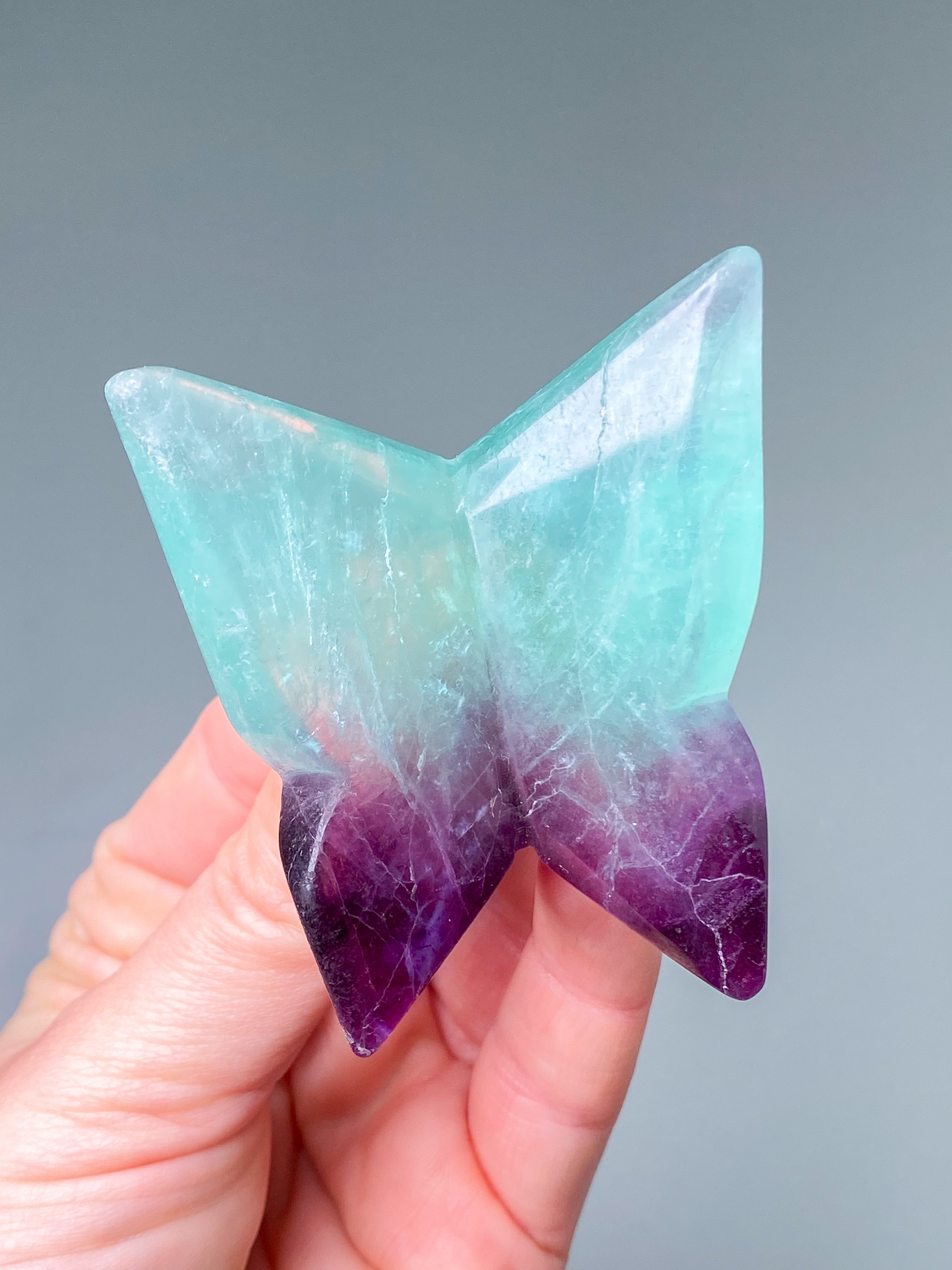 Regnbågsfluoritfjäril (nr 2)