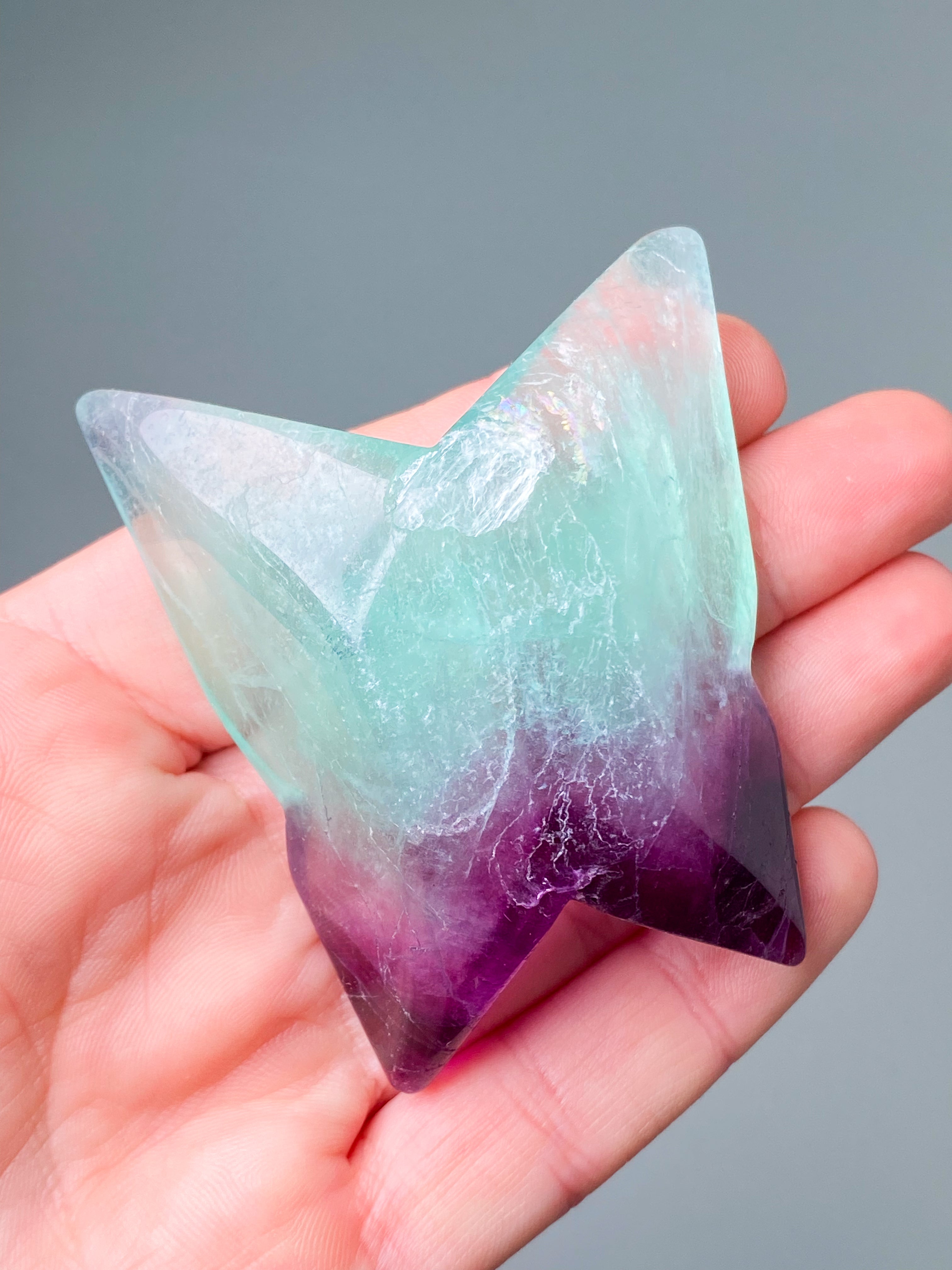 Regnbågsfluoritfjäril (nr 2)