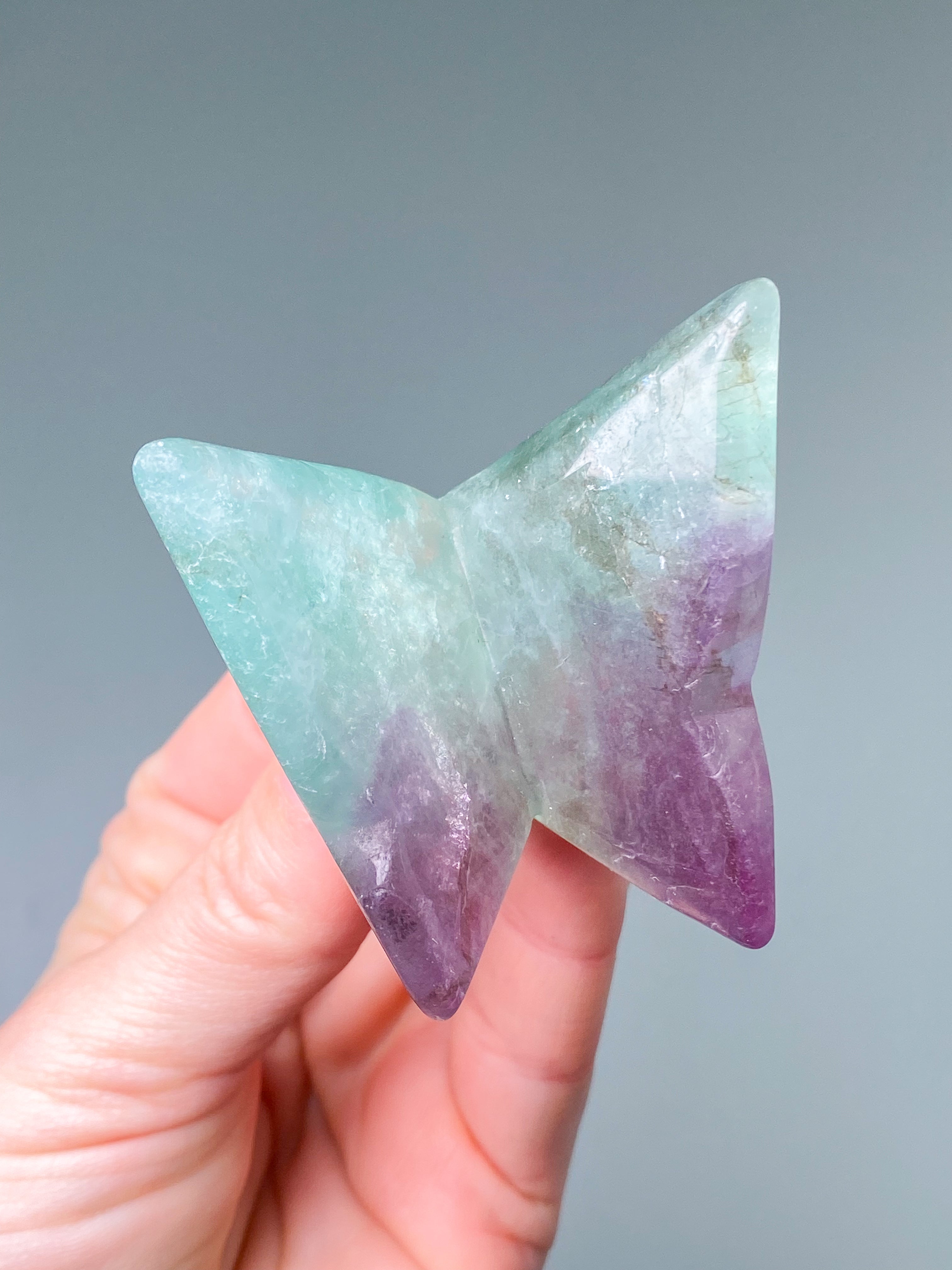 Regnbågsfluoritfjäril (nr 6)