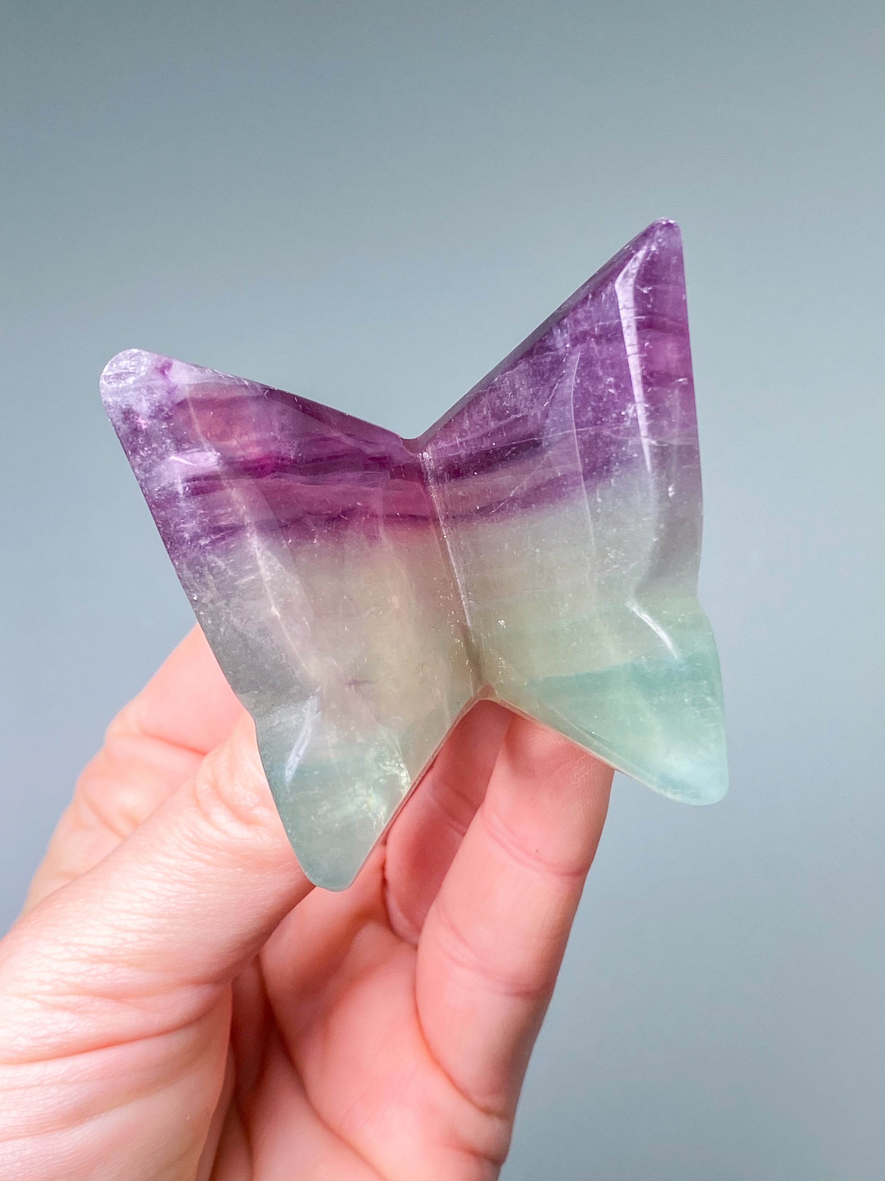 Regnbågsfluoritfjäril (nr 7)