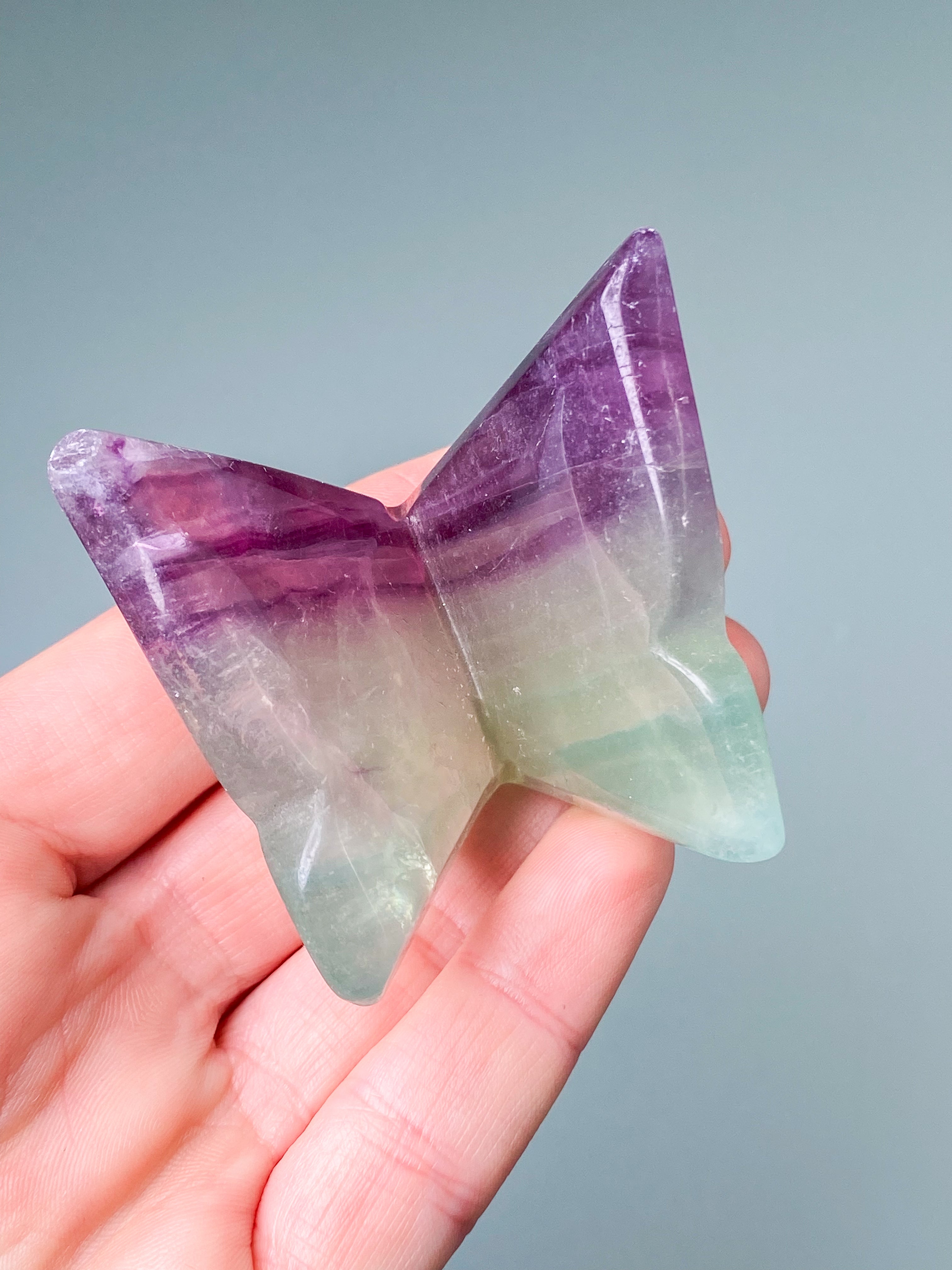 Regnbågsfluoritfjäril (nr 7)