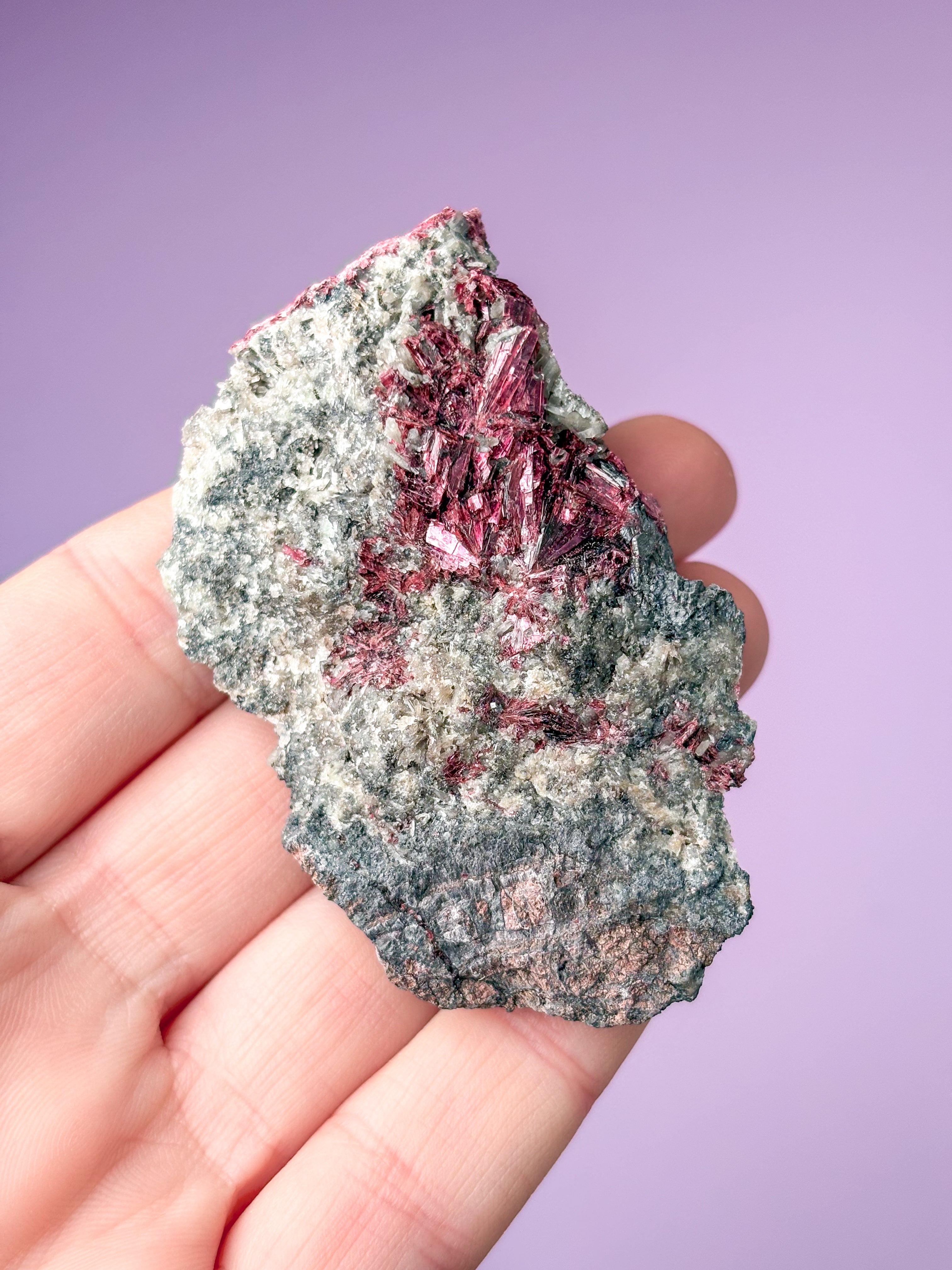 Erytritkluster (nr 1)