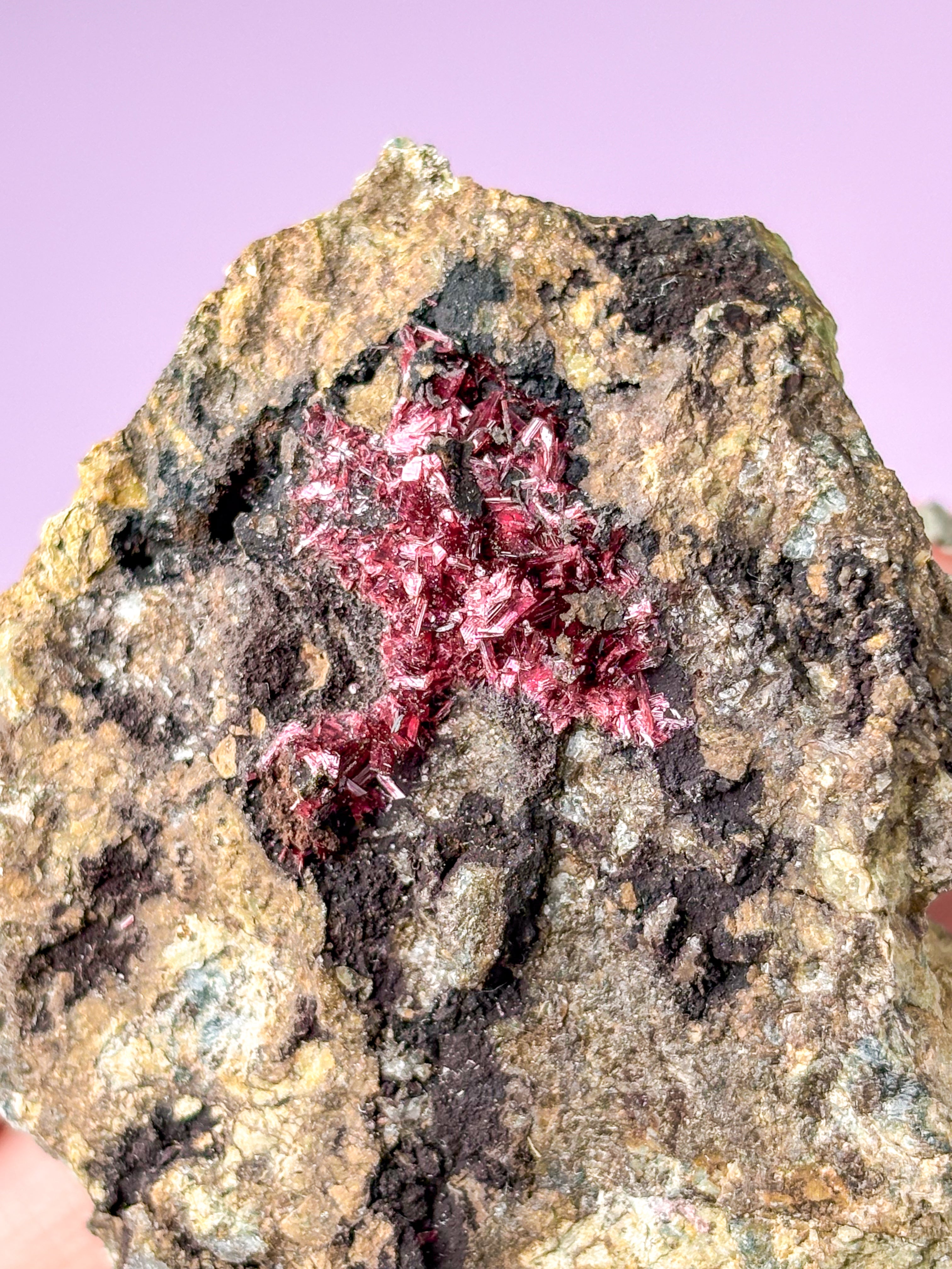 Erytritkluster (nr 4)