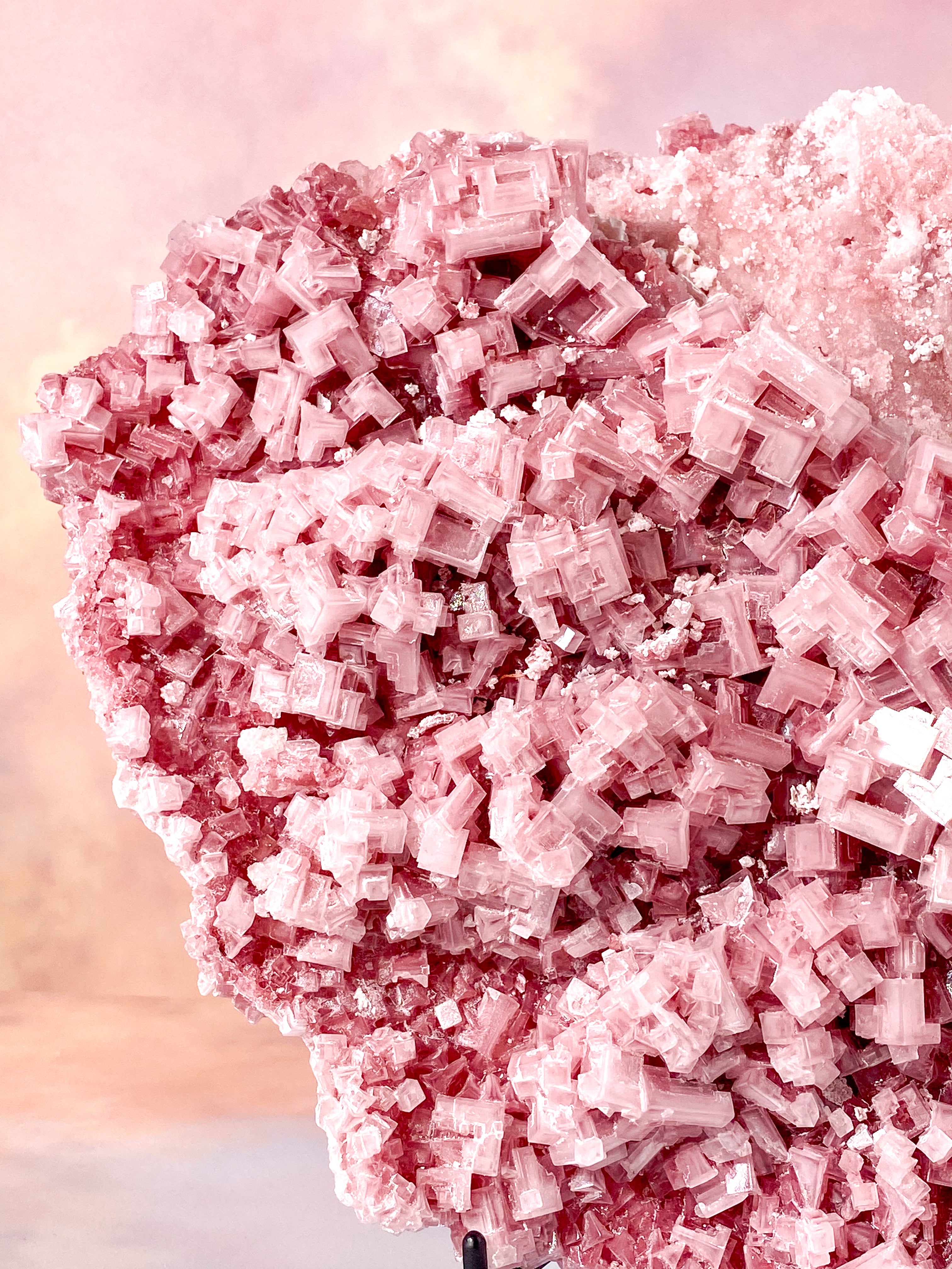 Kæmpe Pink Halit (Nr. 1) Eksklusiv Kvalitet