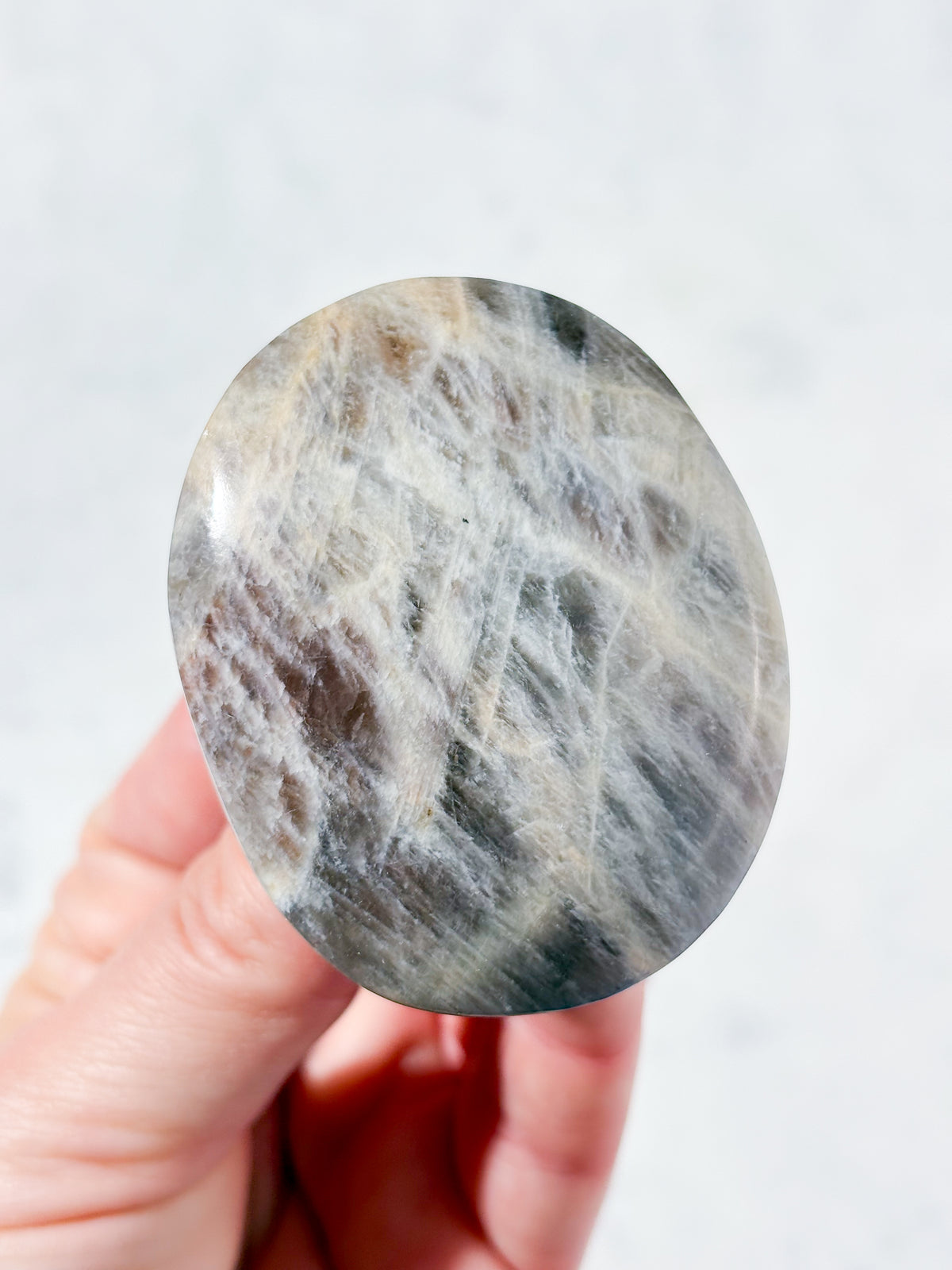 Tanzania Månesten Palmstone (Nr. 1)
